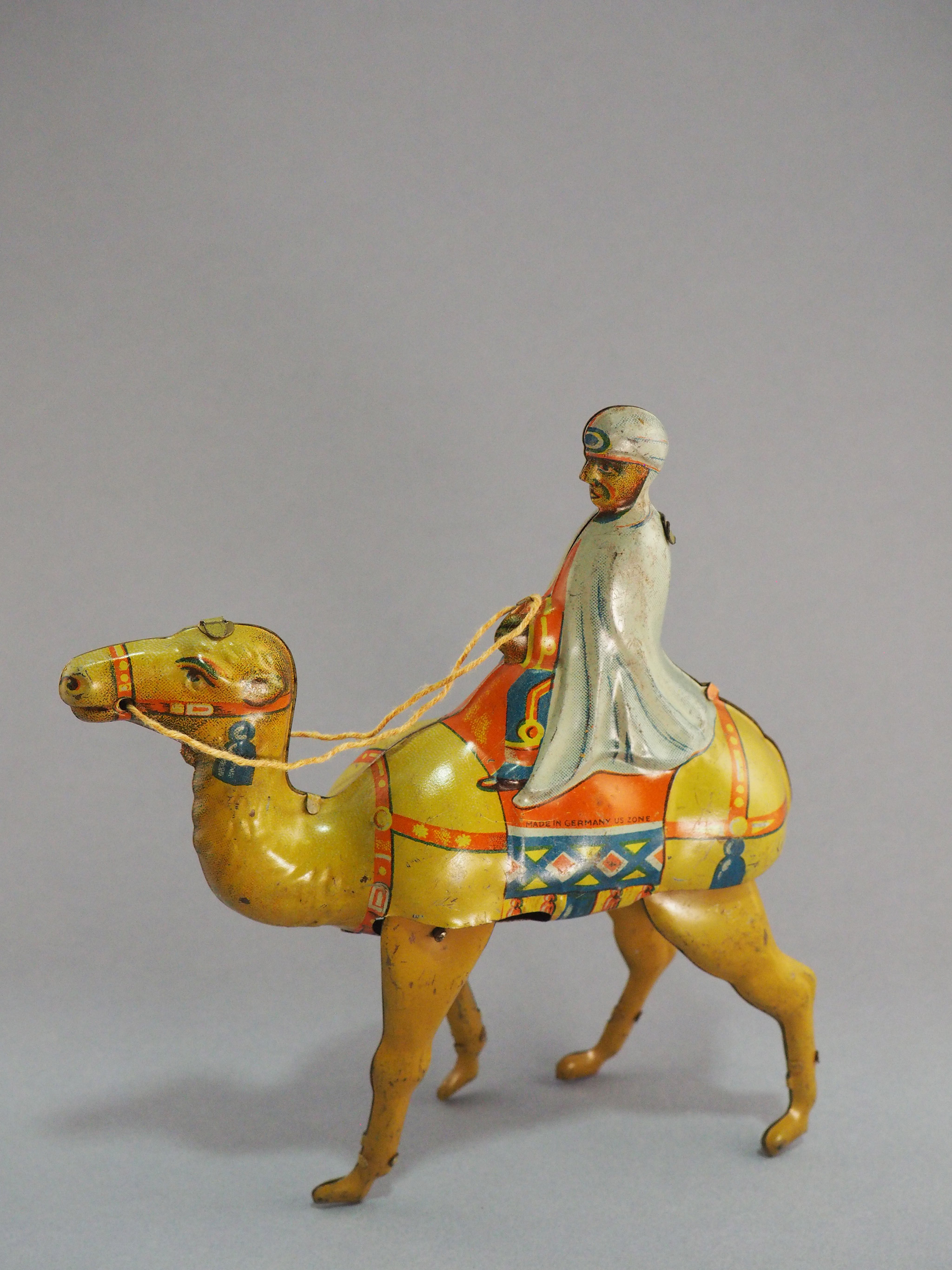 Bedouin on Camel photo 2