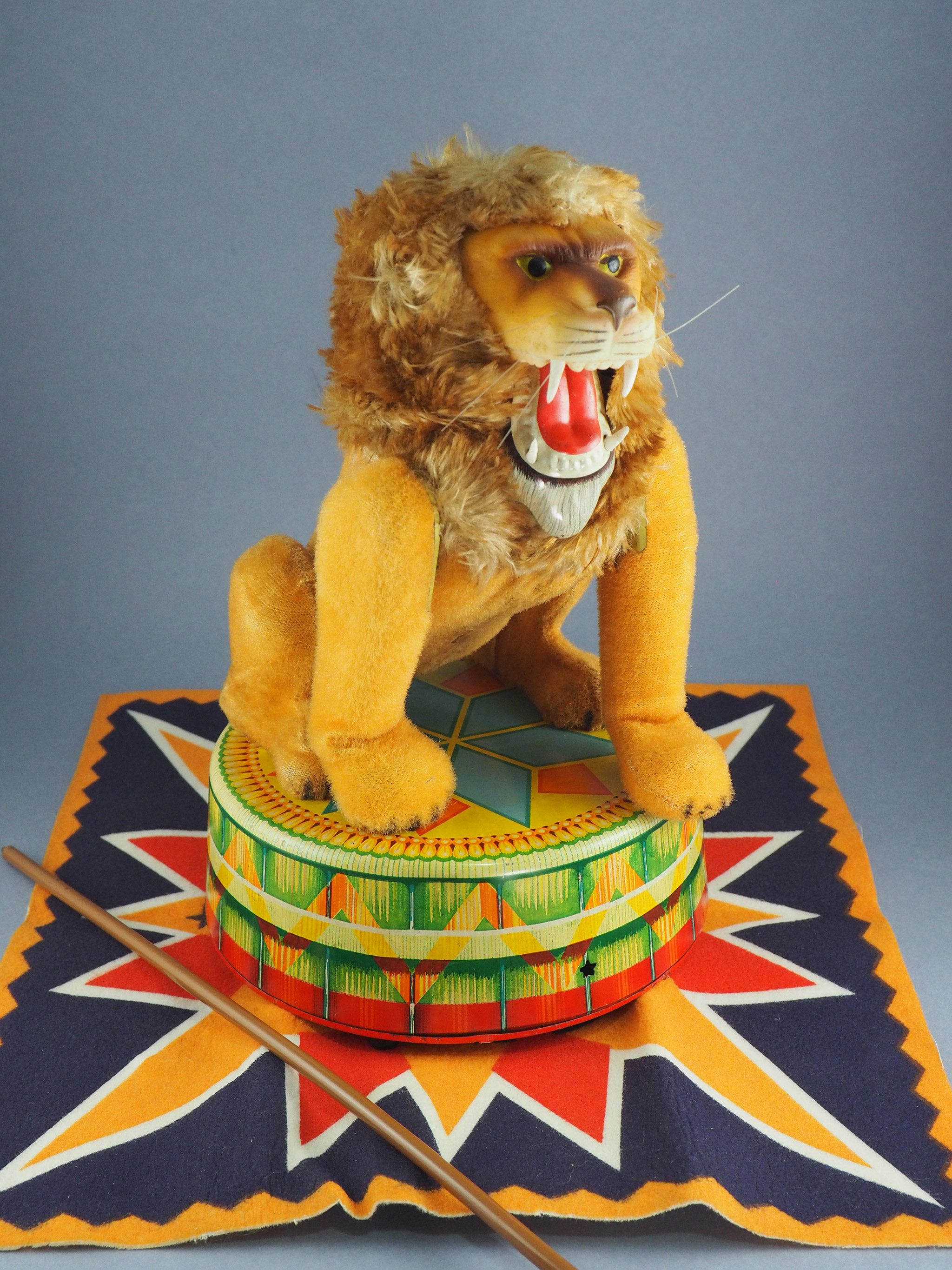 Circus Lion photo 1