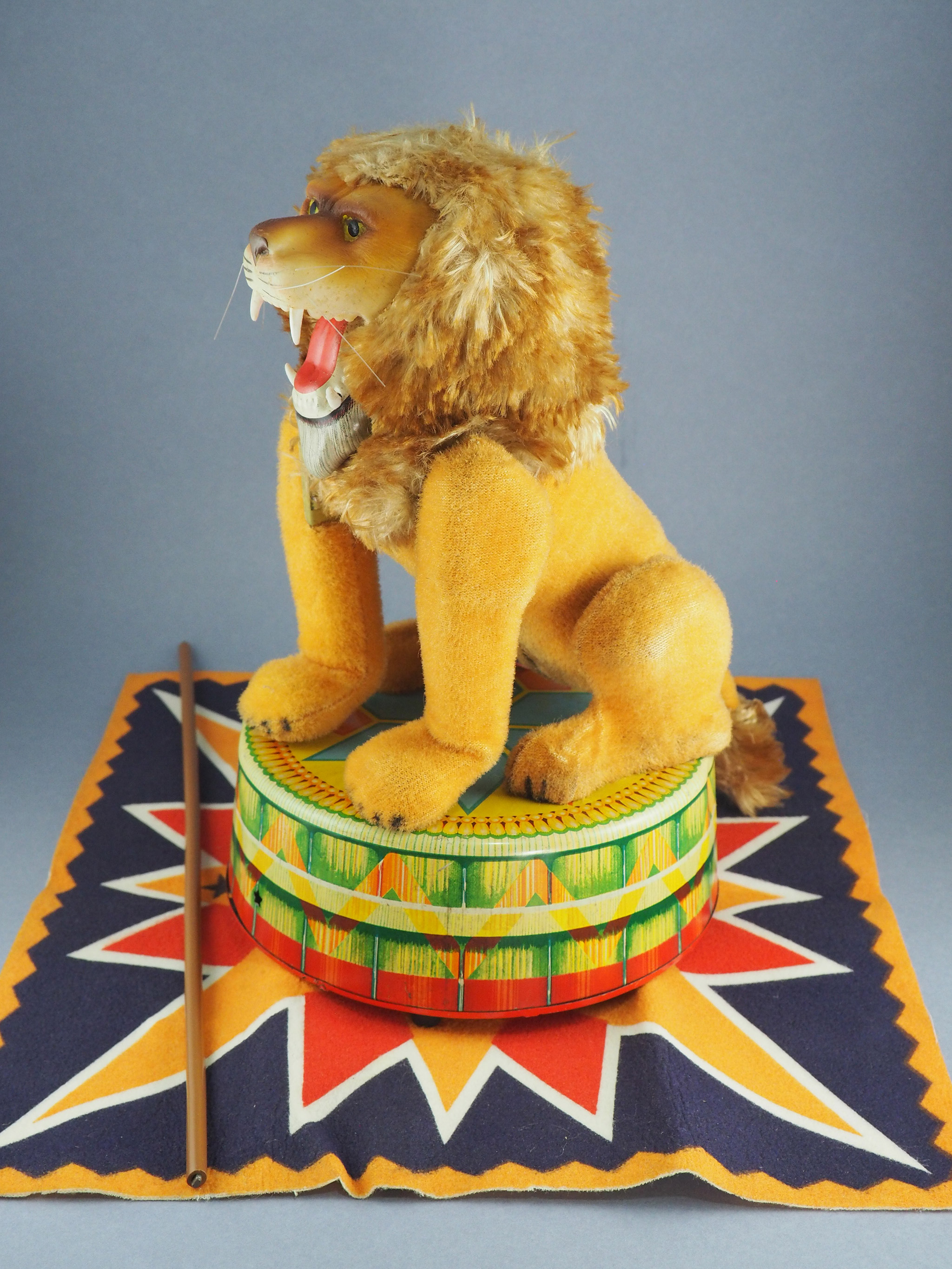 Circus Lion photo 2