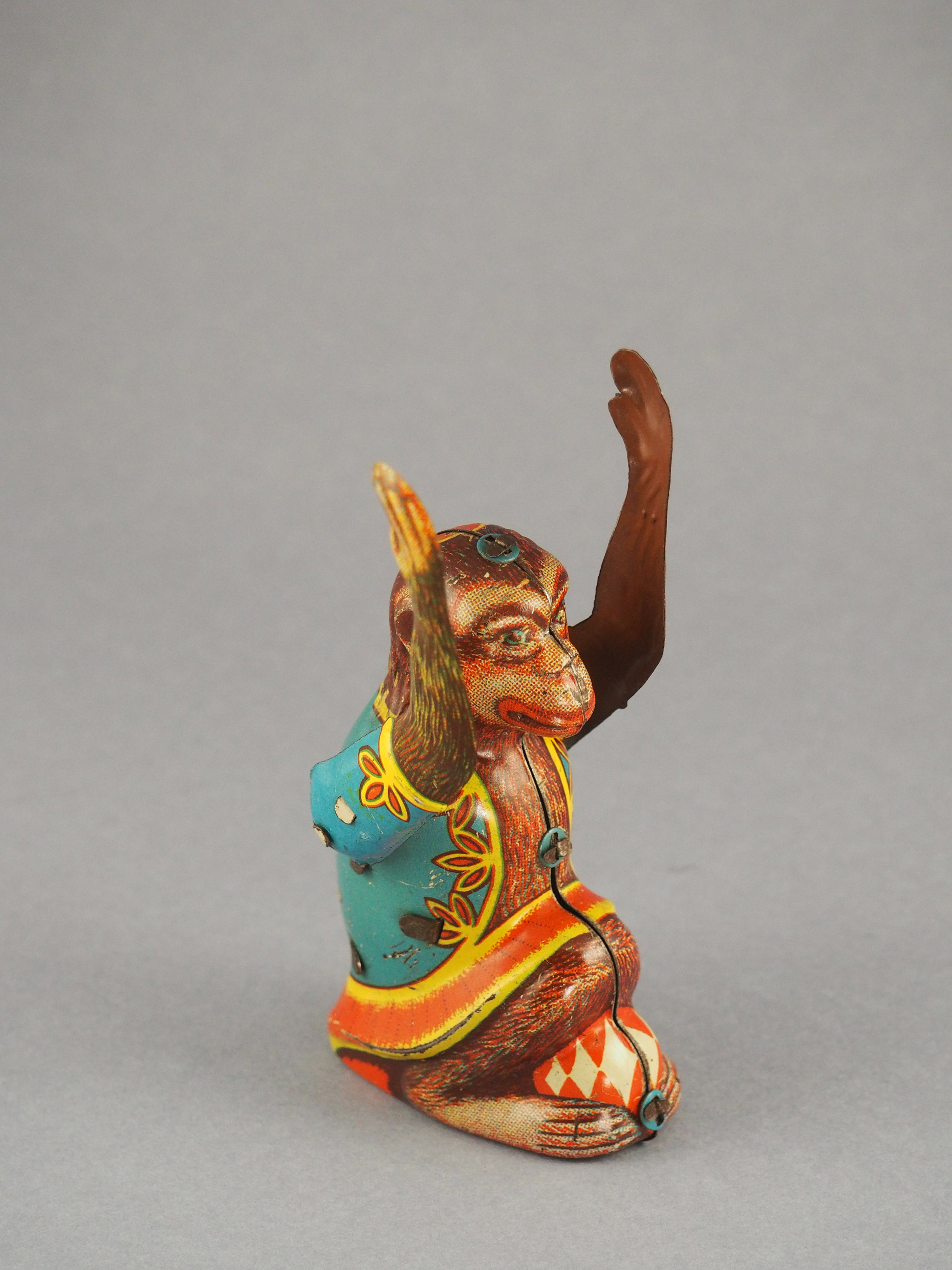 Monkey photo 1