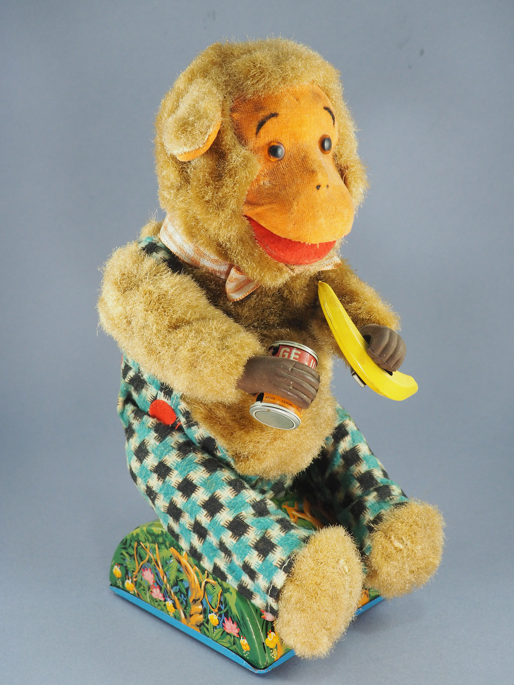 Monkey on a Picnic photo 2