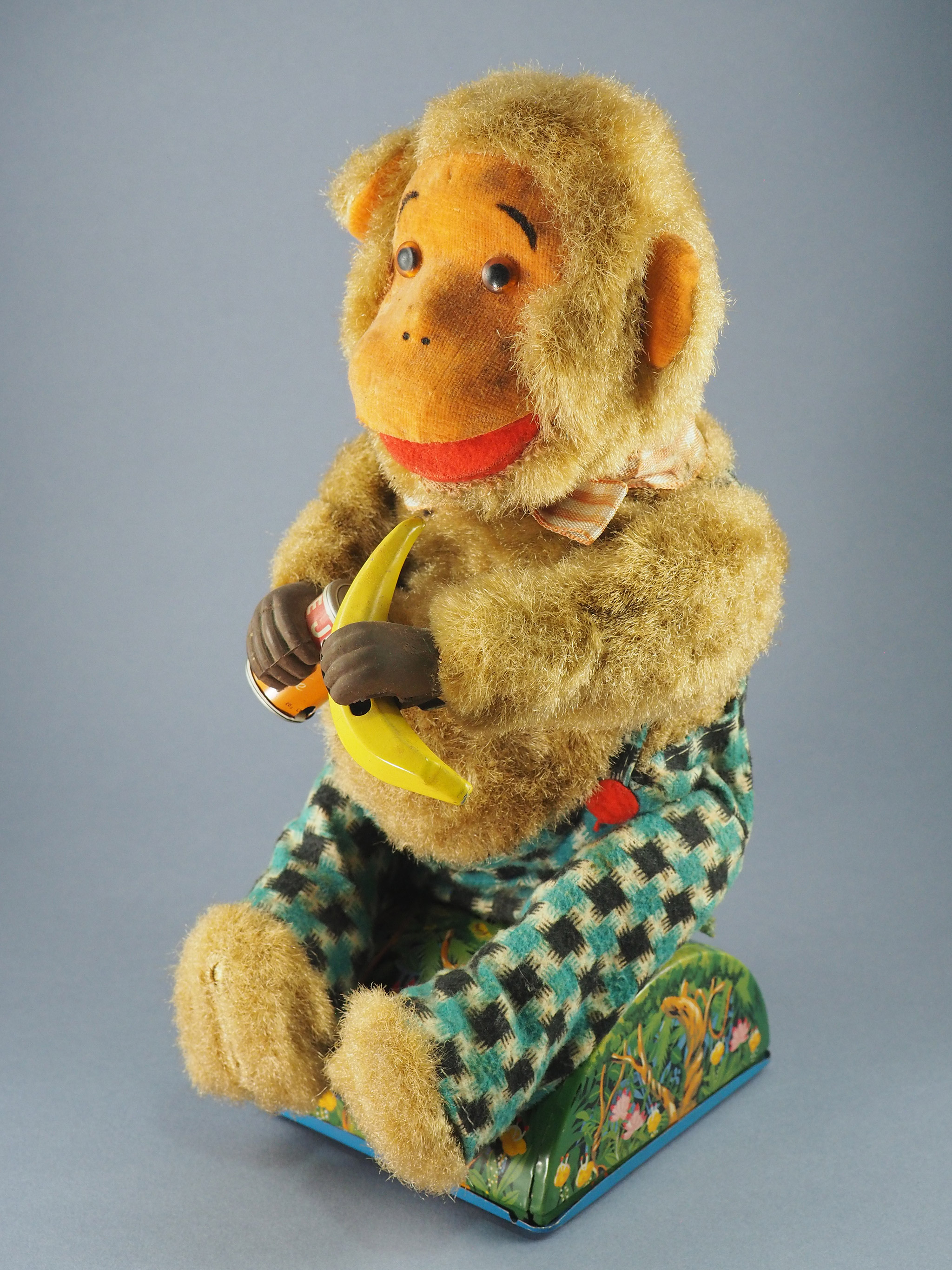 Monkey on a Picnic photo 3