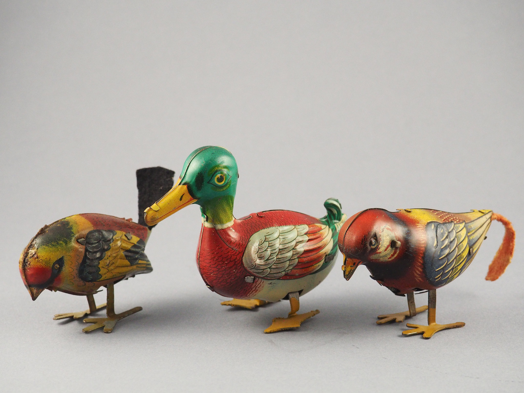 Pecking bird photo 1