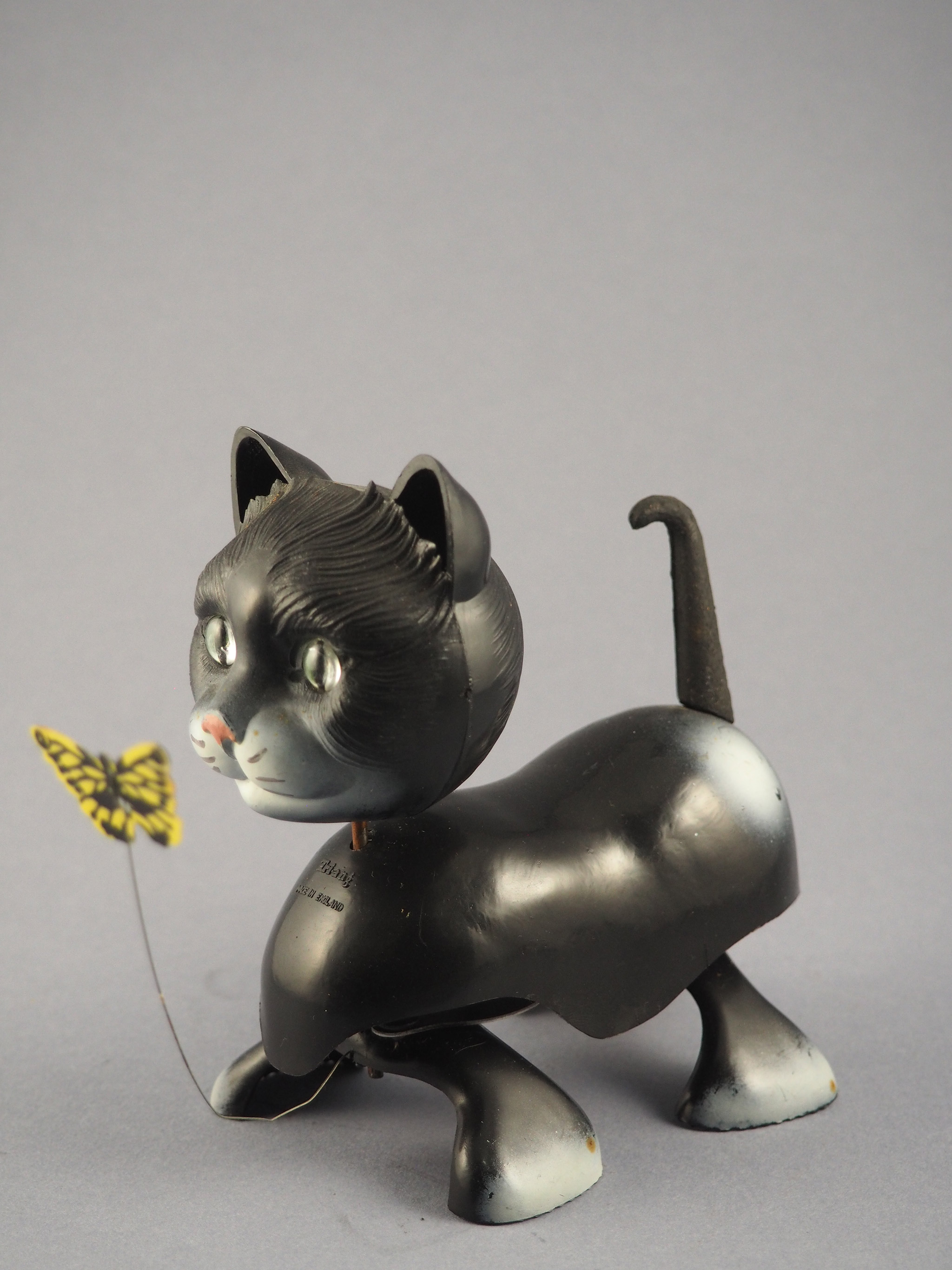 Kitty and Butterfly photo 2