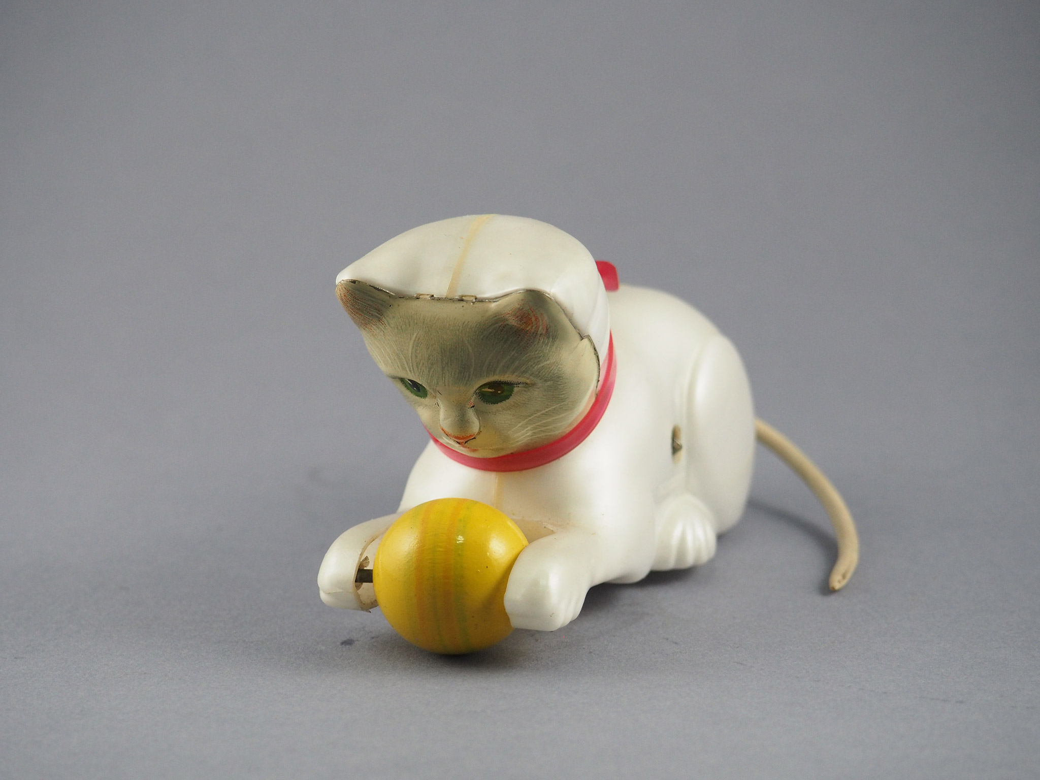 Rollover Cat photo 2