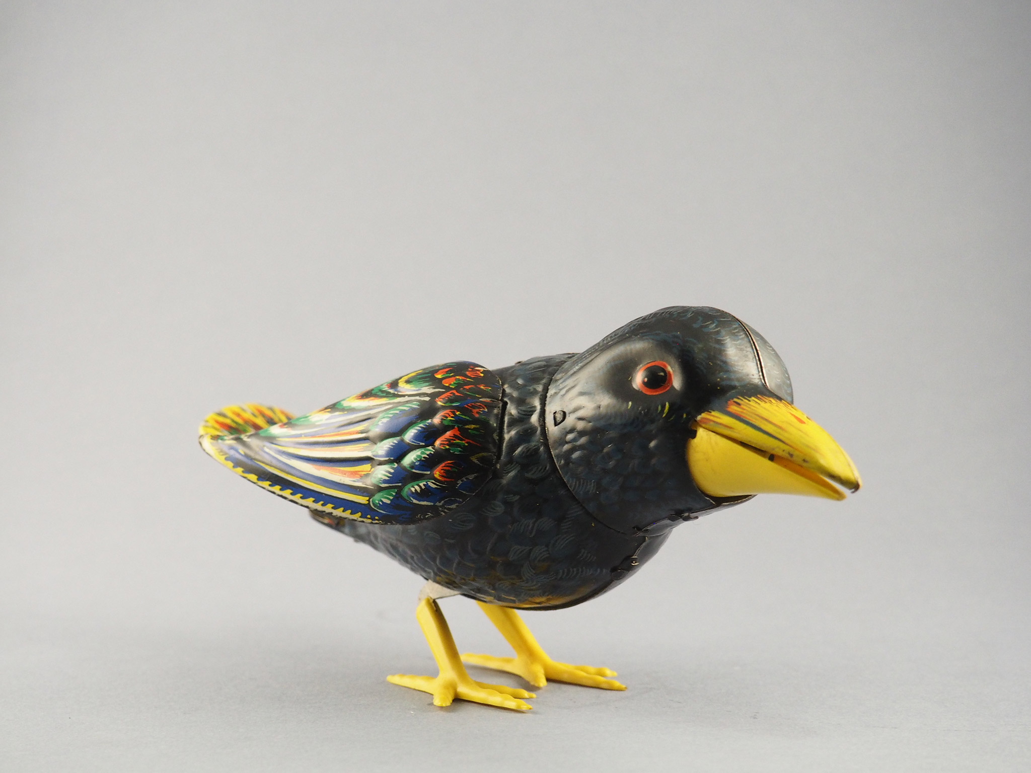 Jockel the Croaking Raven photo 1
