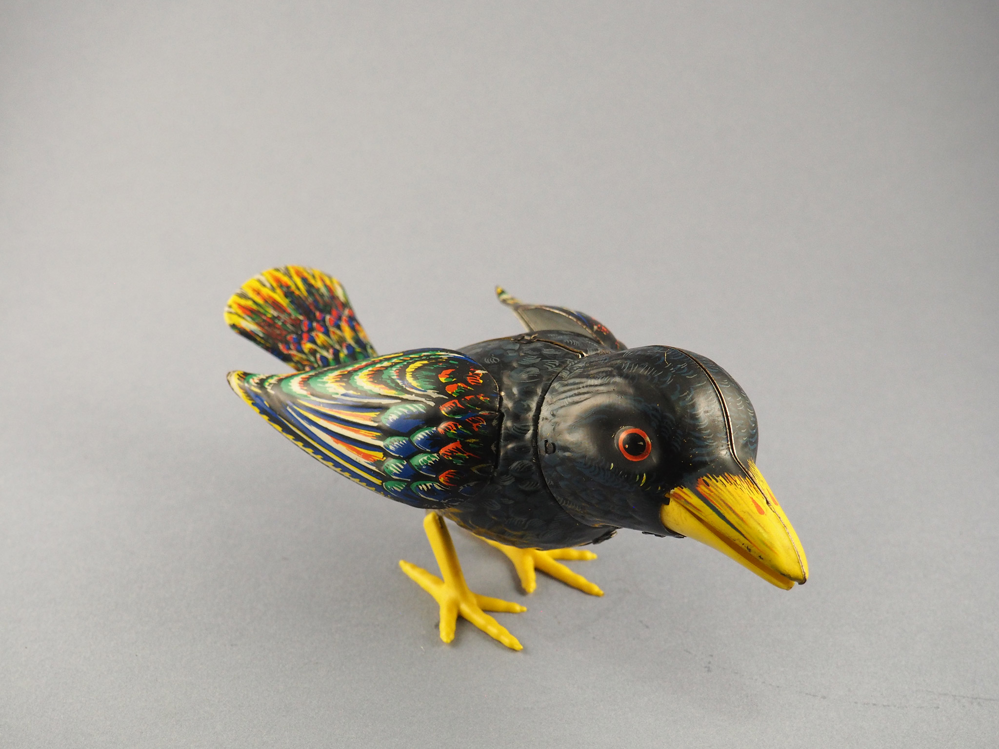 Jockel the Croaking Raven photo 2
