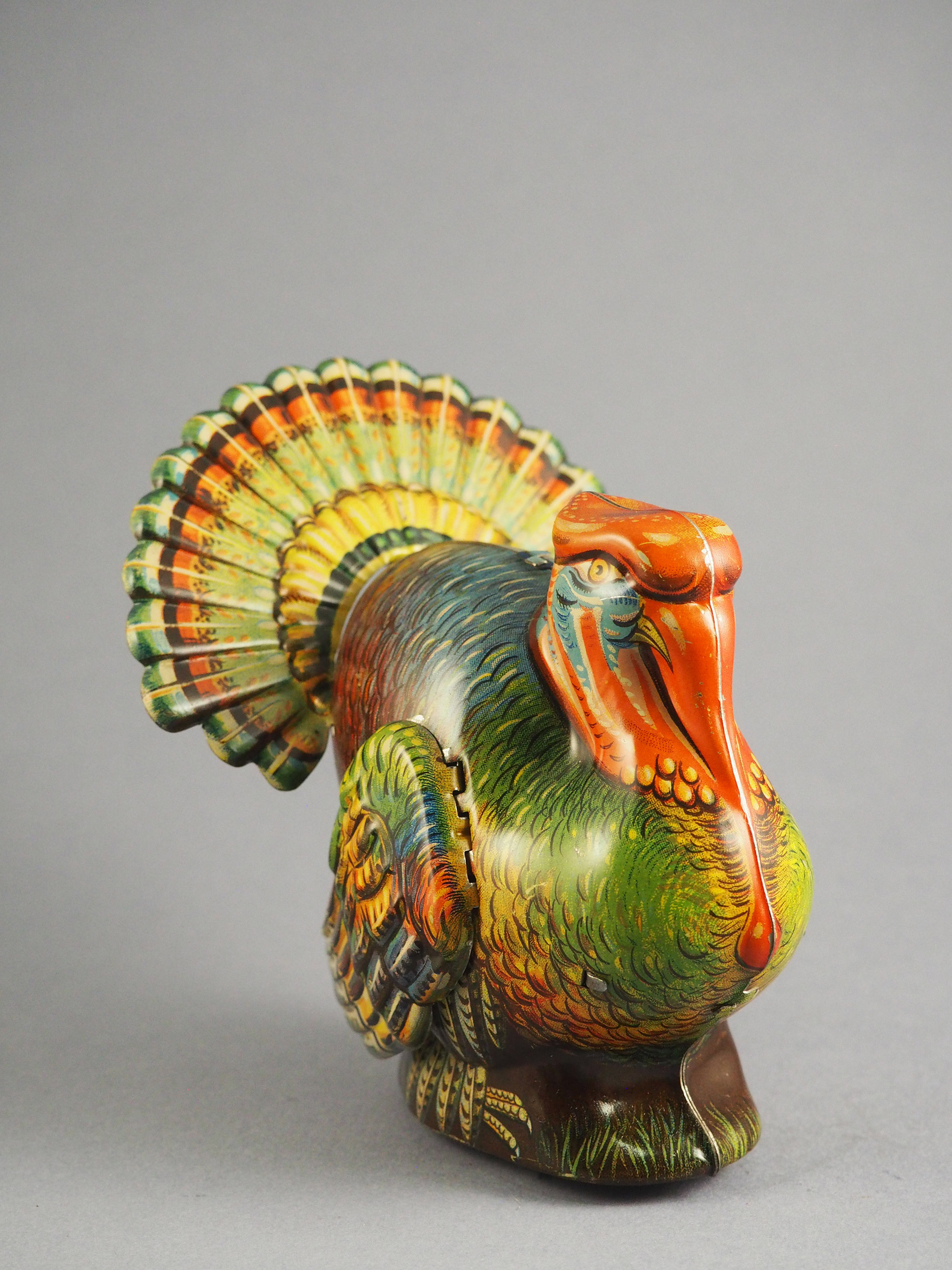 Turkey with voice photo 1