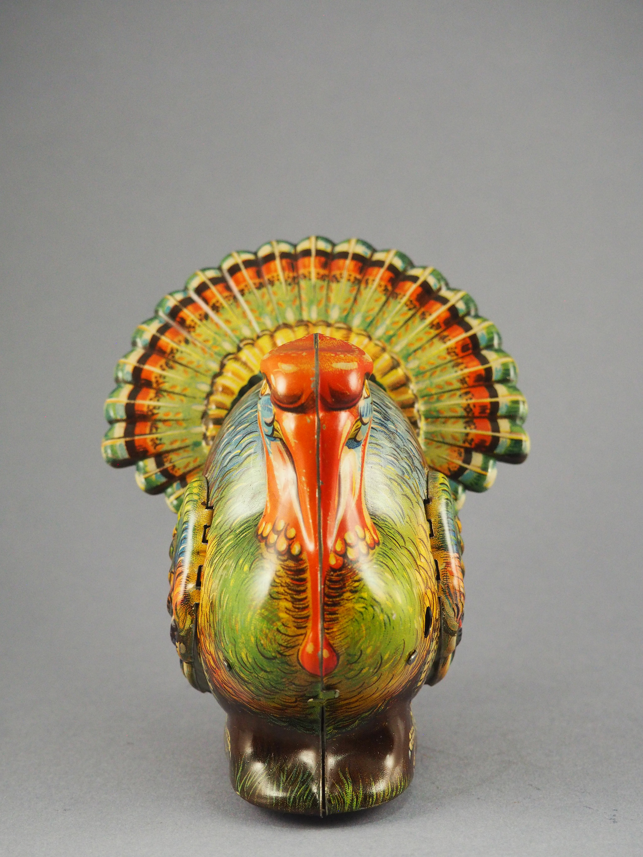 Turkey with voice photo 2