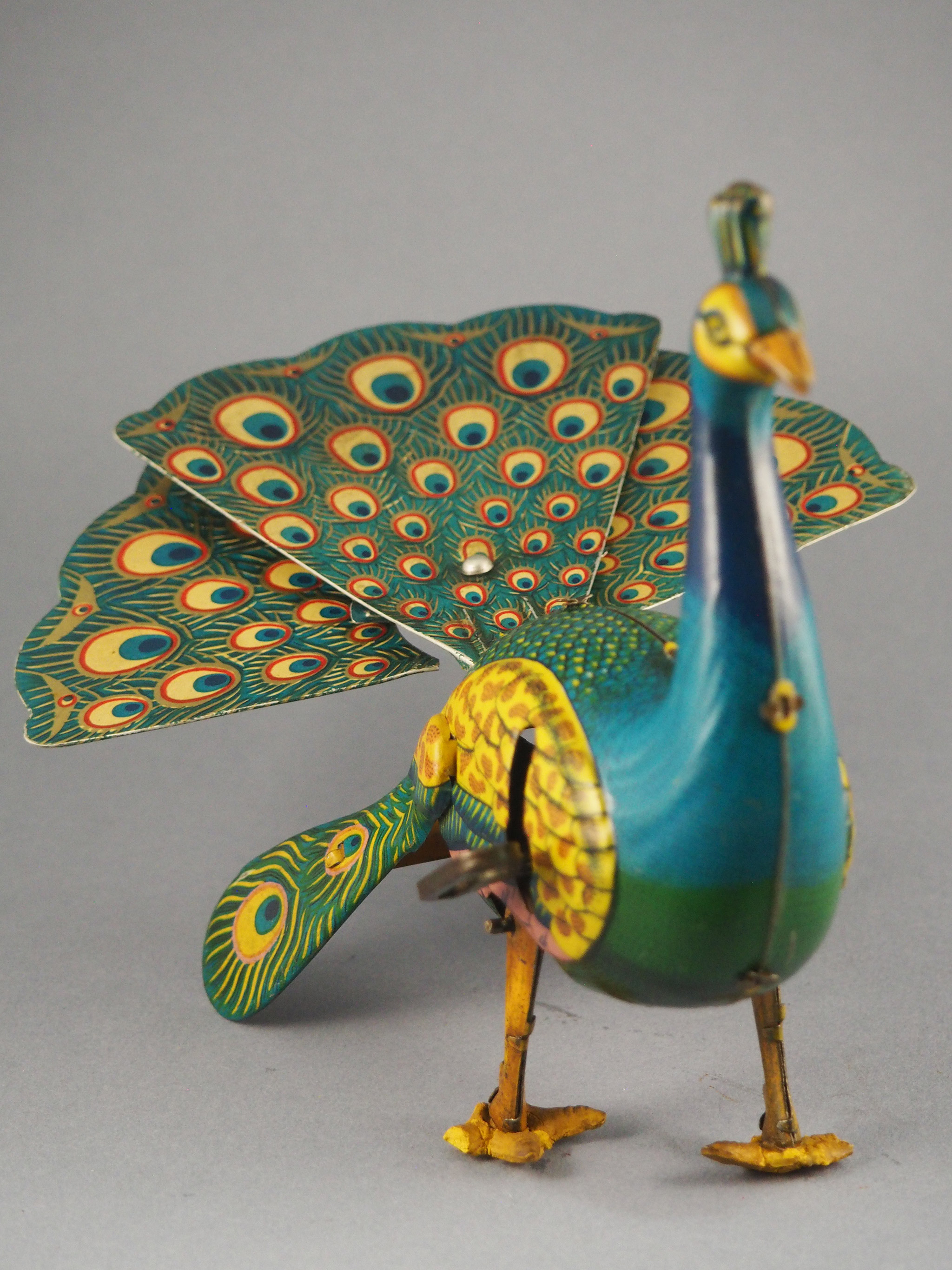 Proud Peacock photo 1