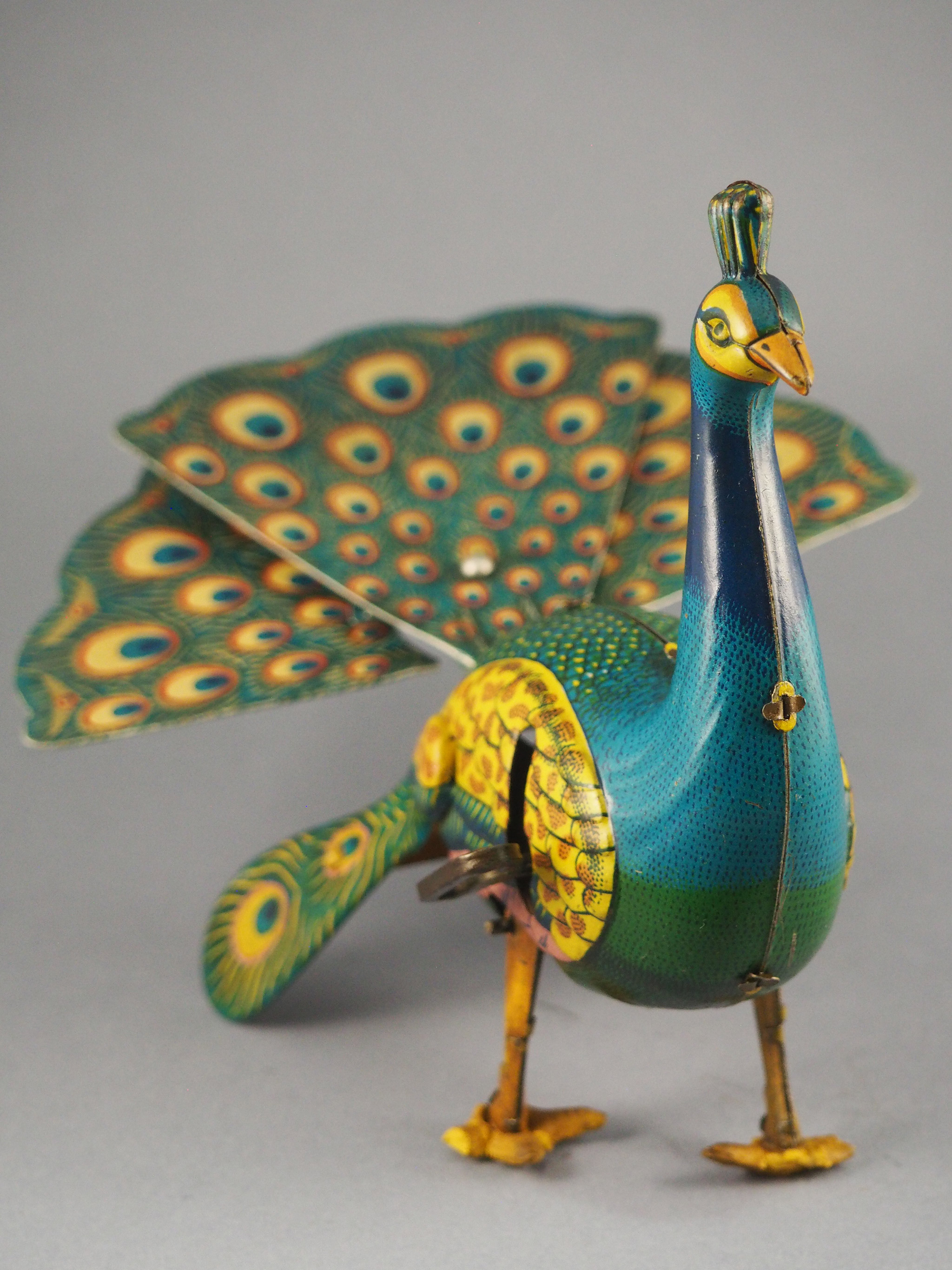 Proud Peacock photo 2