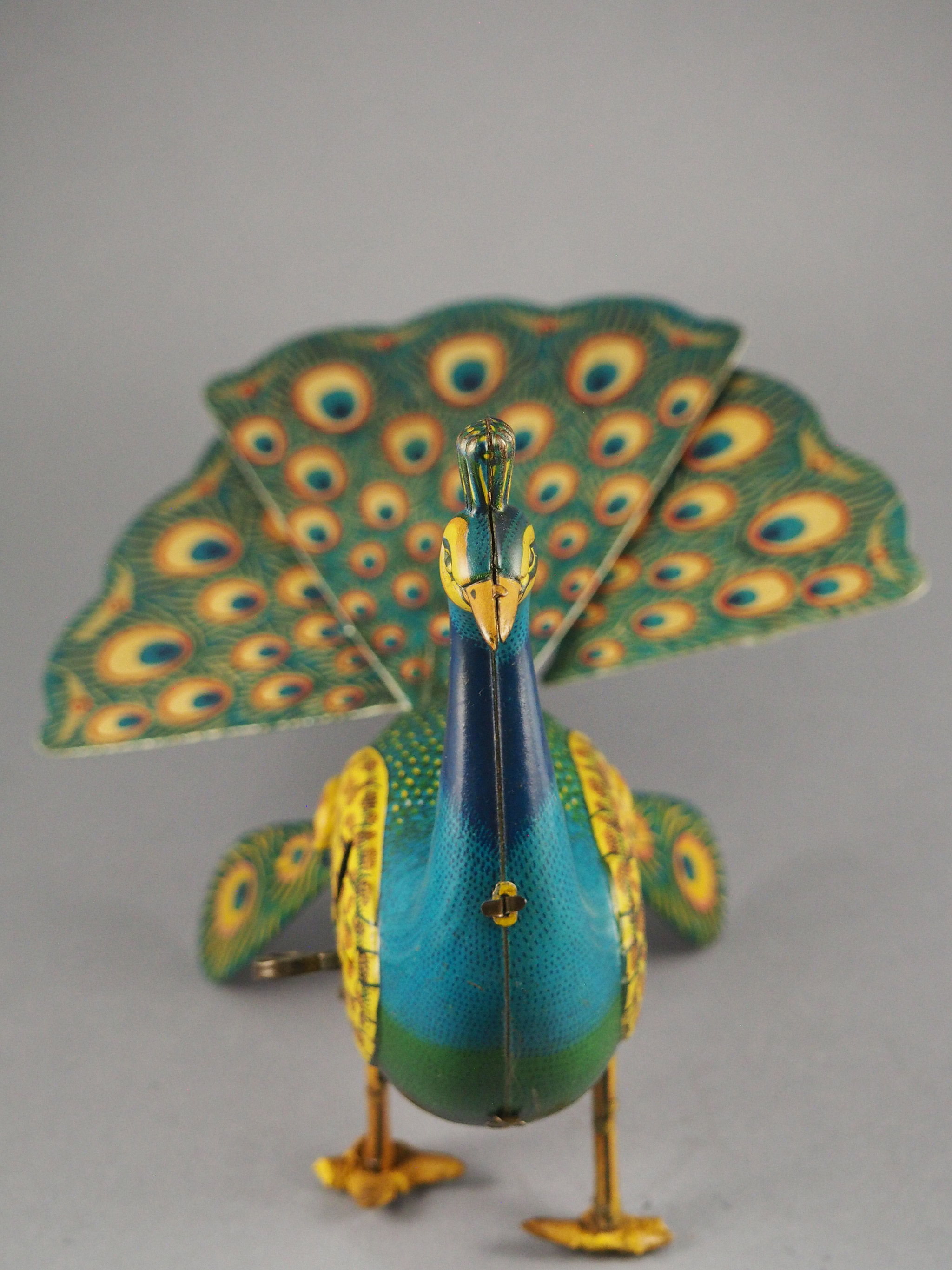 Proud Peacock photo 3