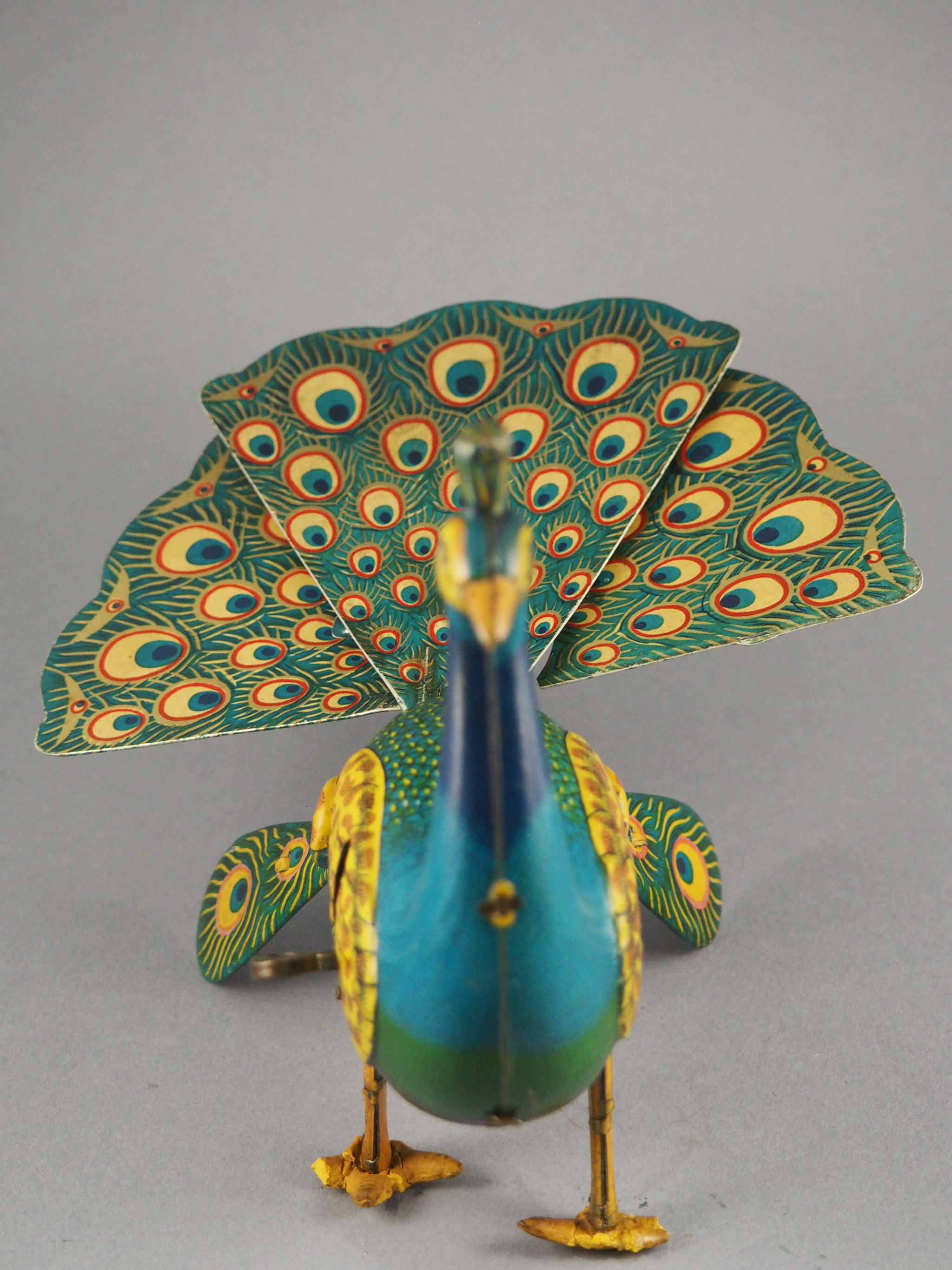 Proud Peacock photo 4