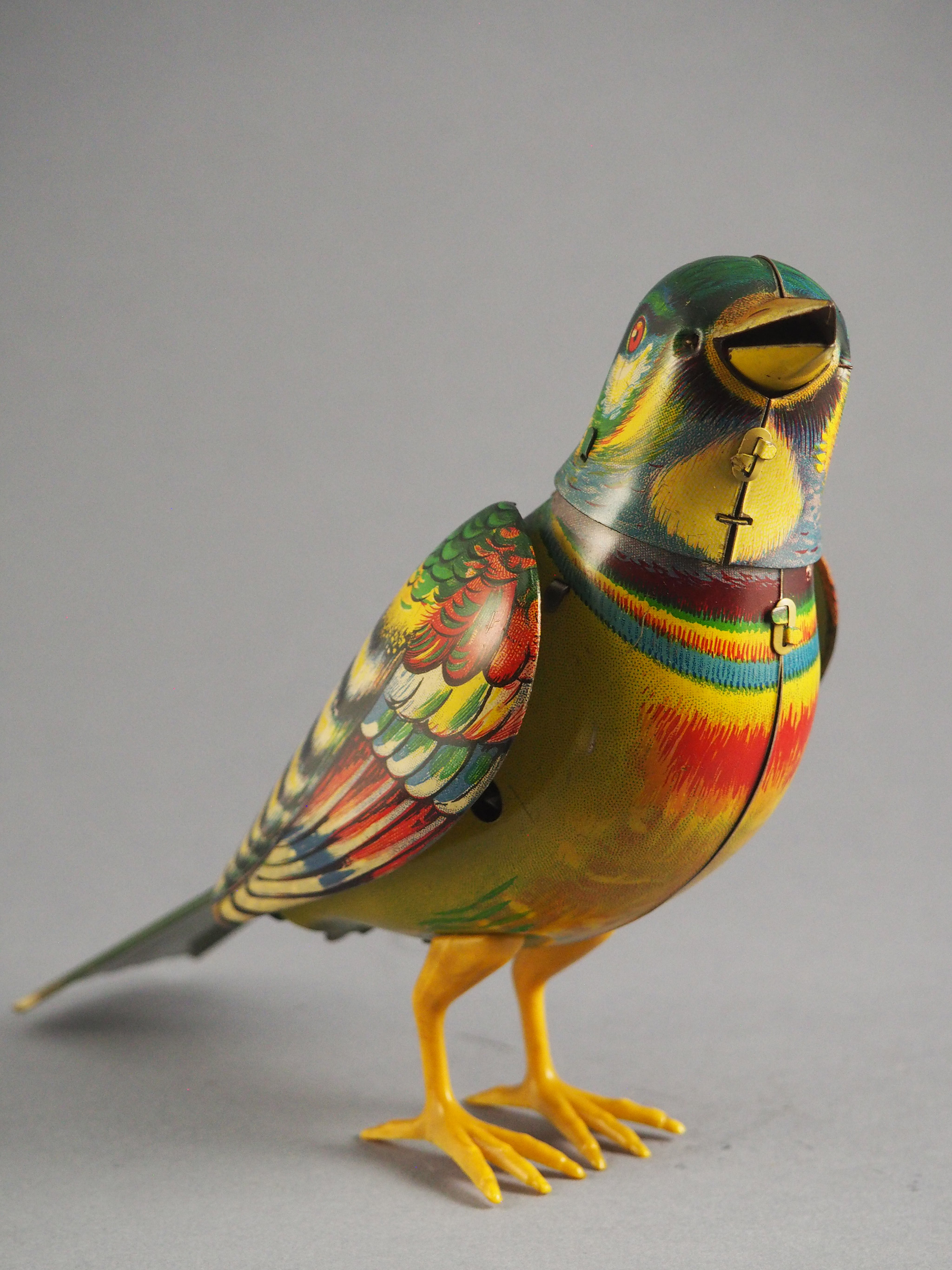 Jubilant Songbird photo 1