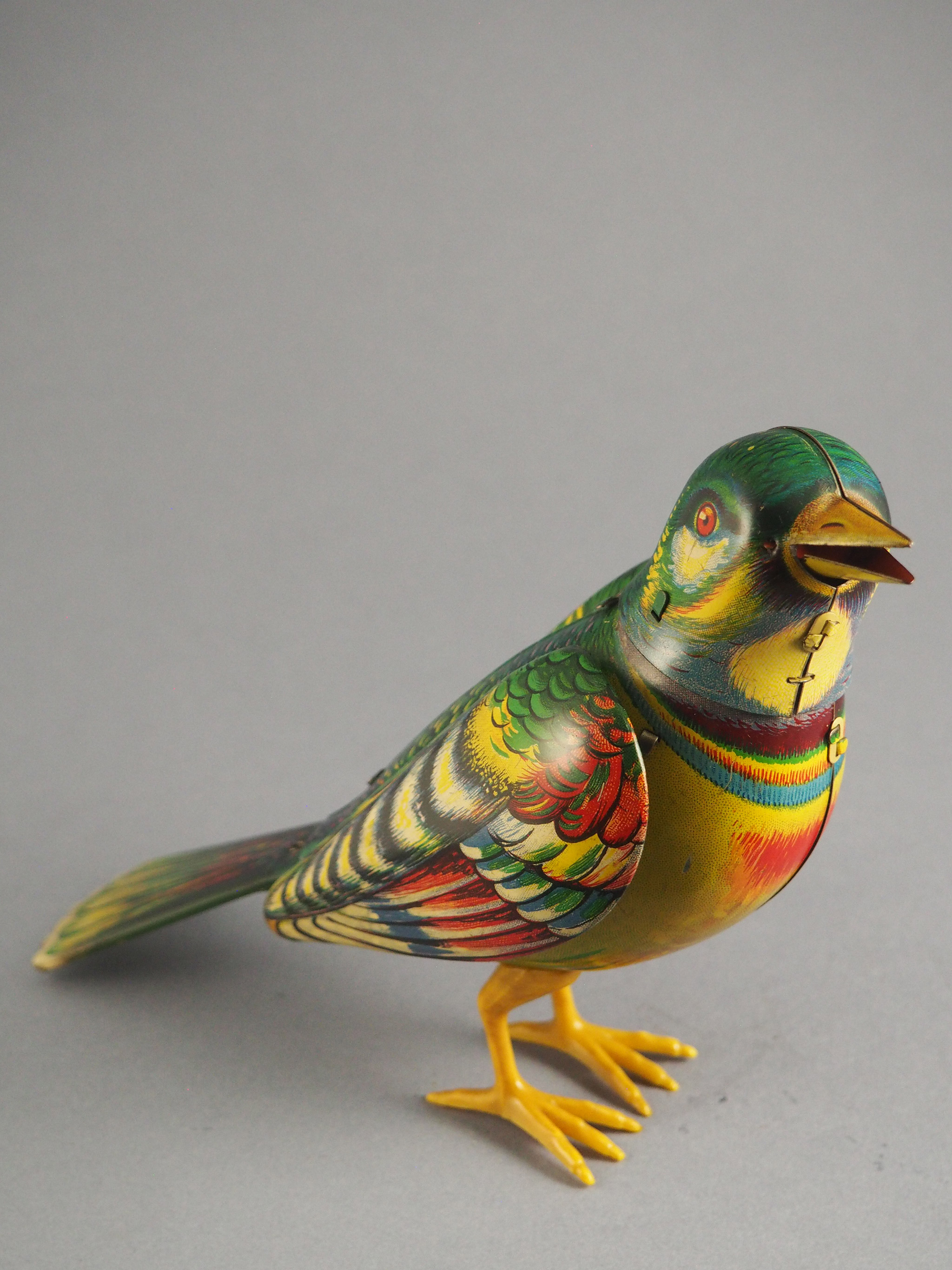 Jubilant Songbird photo 2