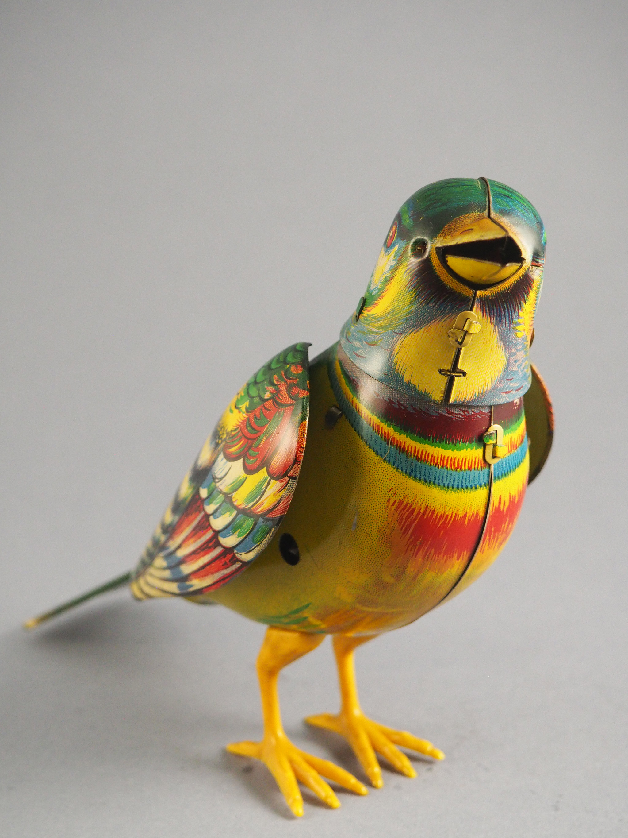 Jubilant Songbird photo 3