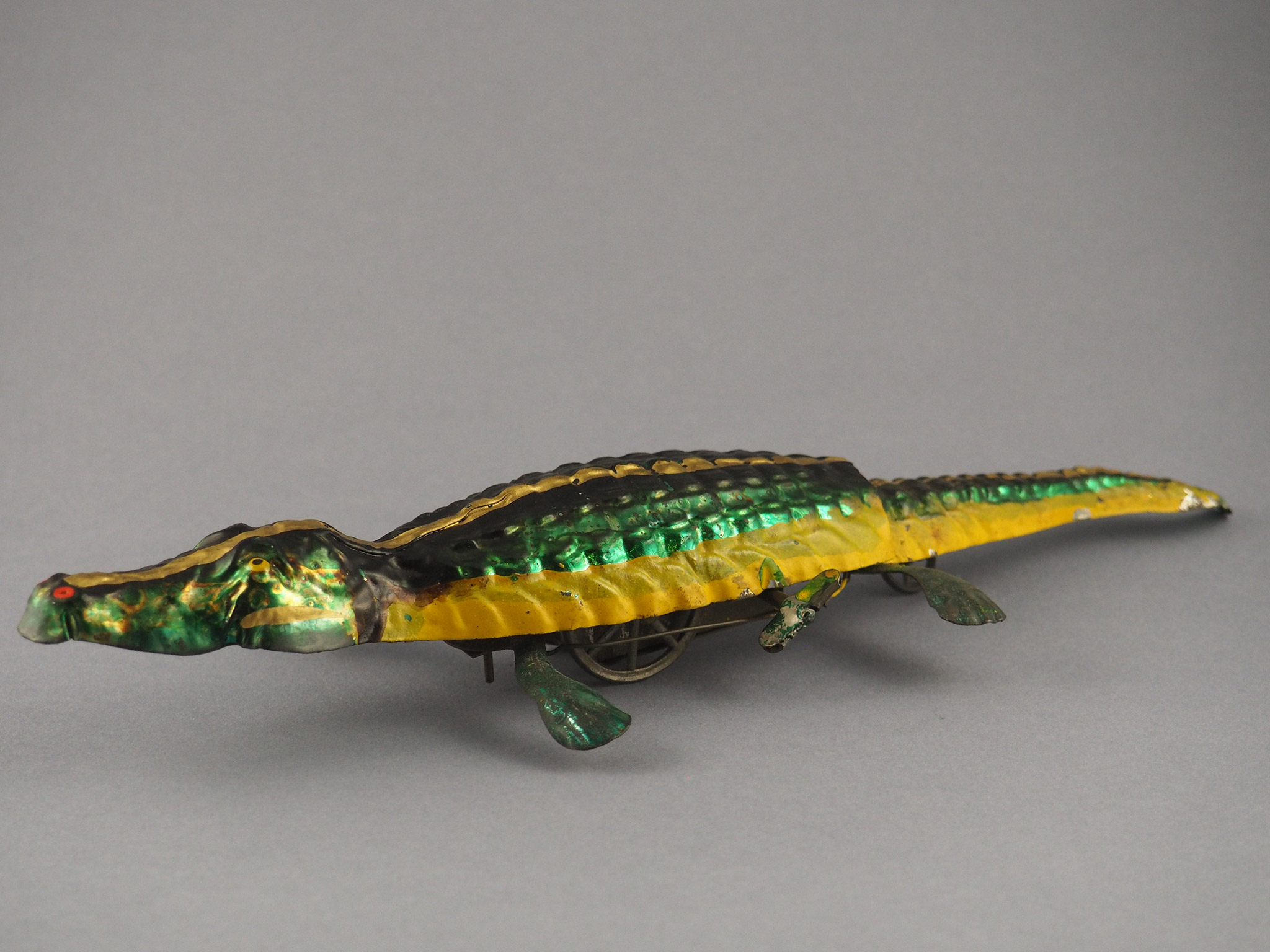 Crocodile photo 1