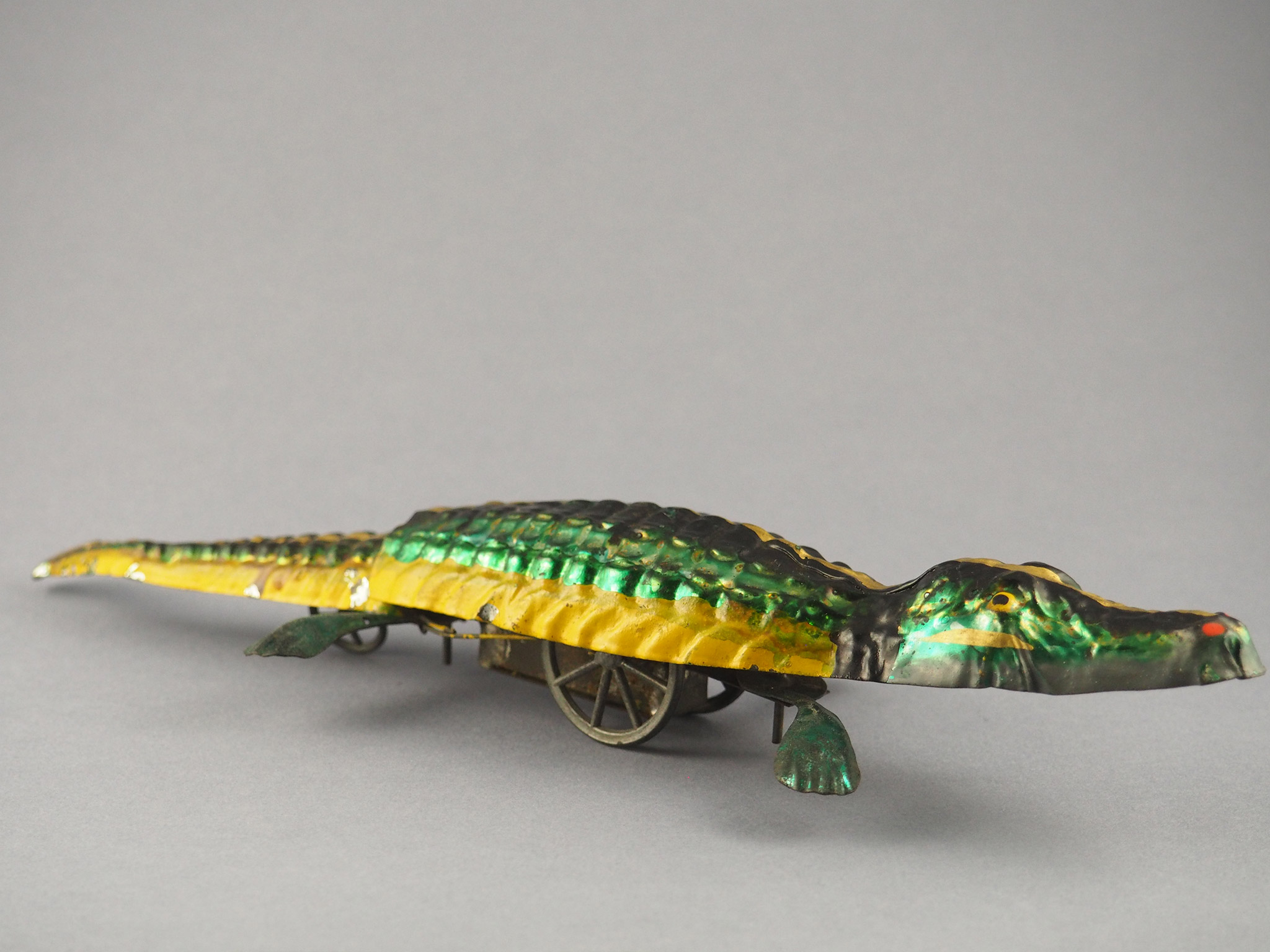 Crocodile photo 3