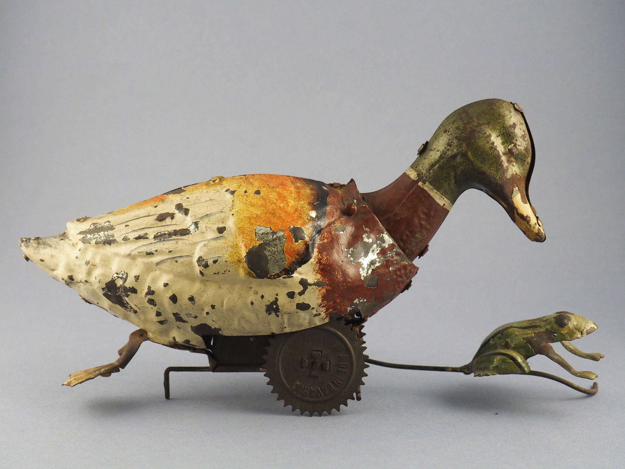 Duck chasing frog photo 1