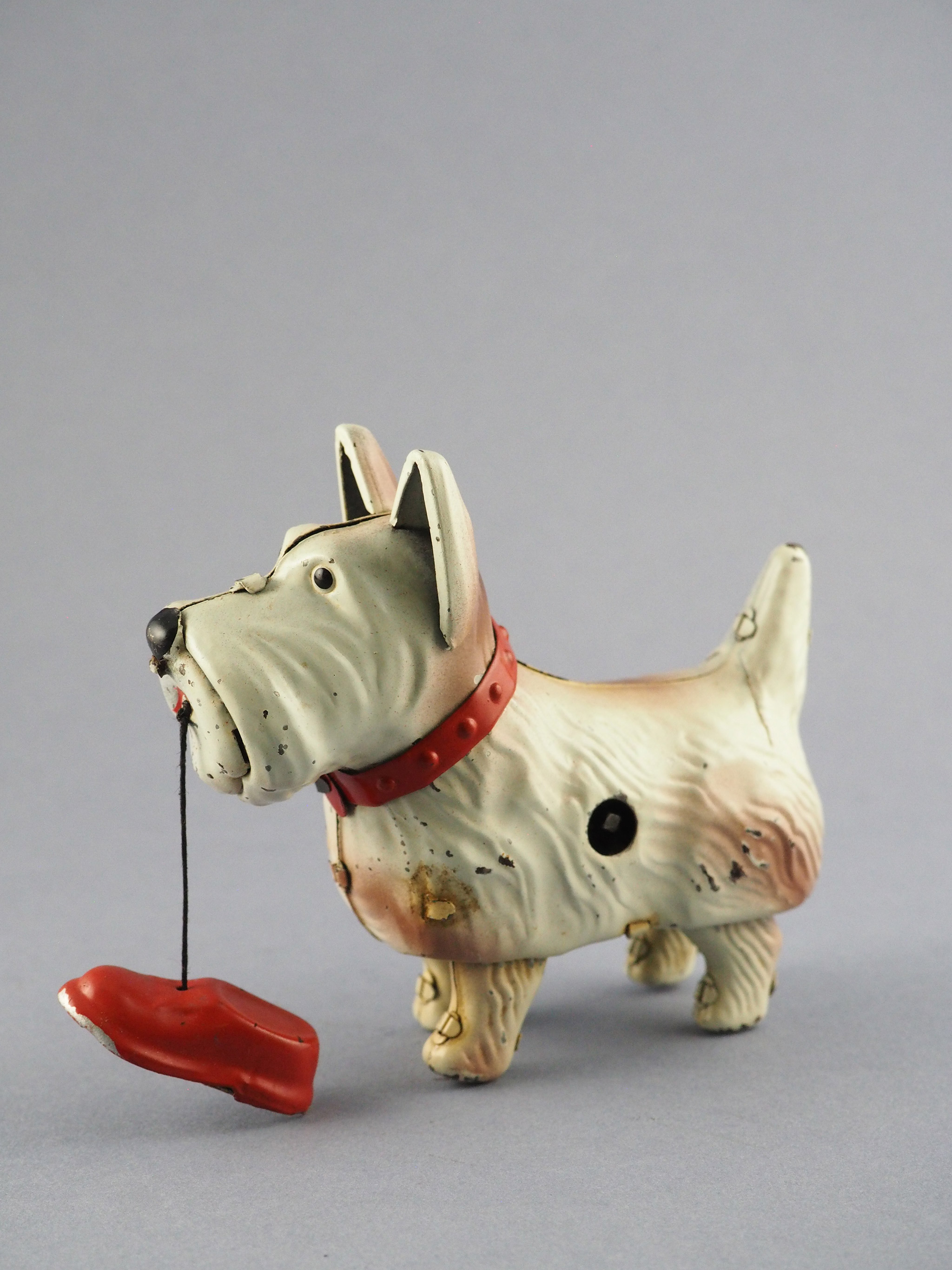WAG DOG photo 1