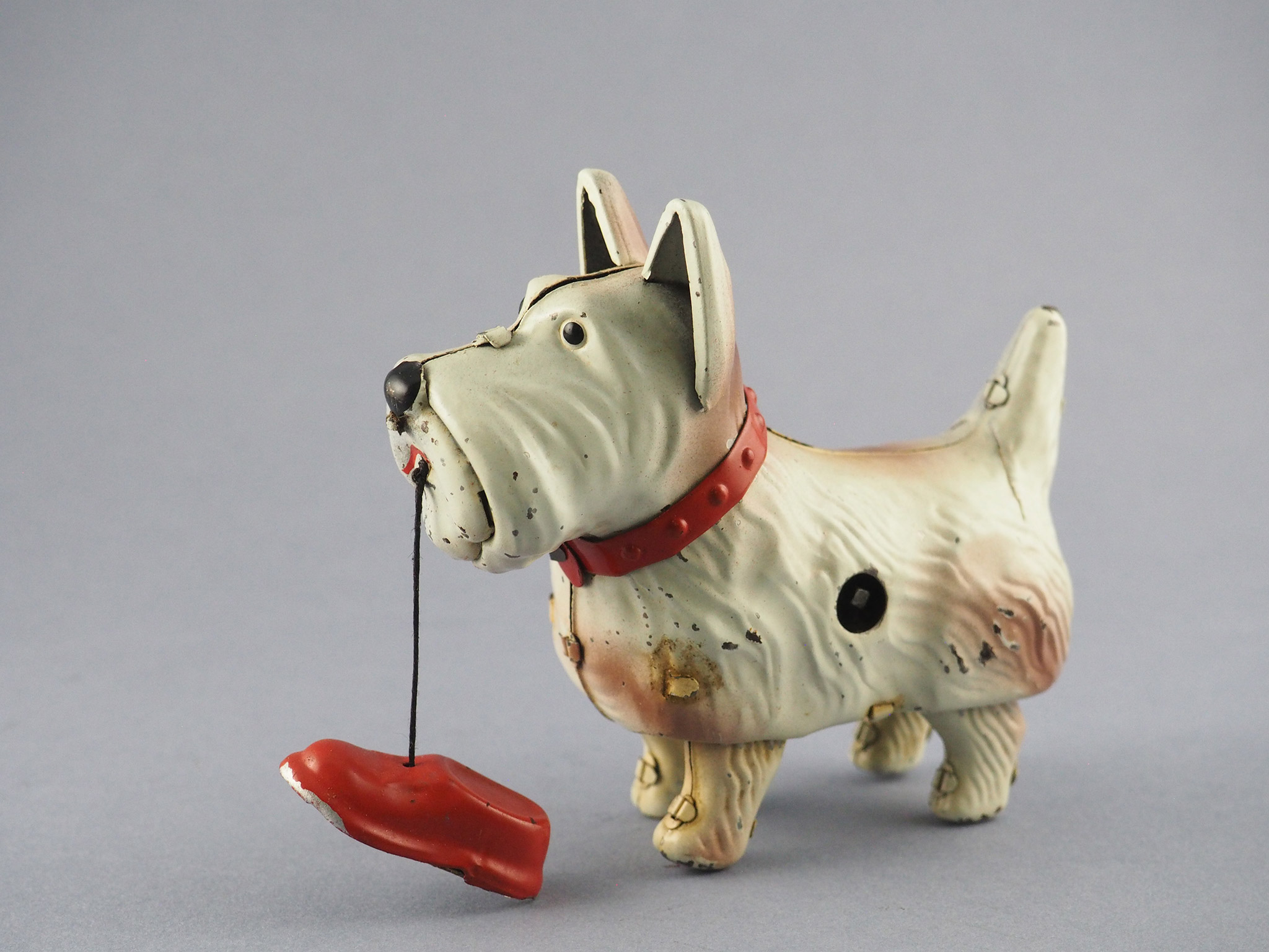 WAG DOG photo 2