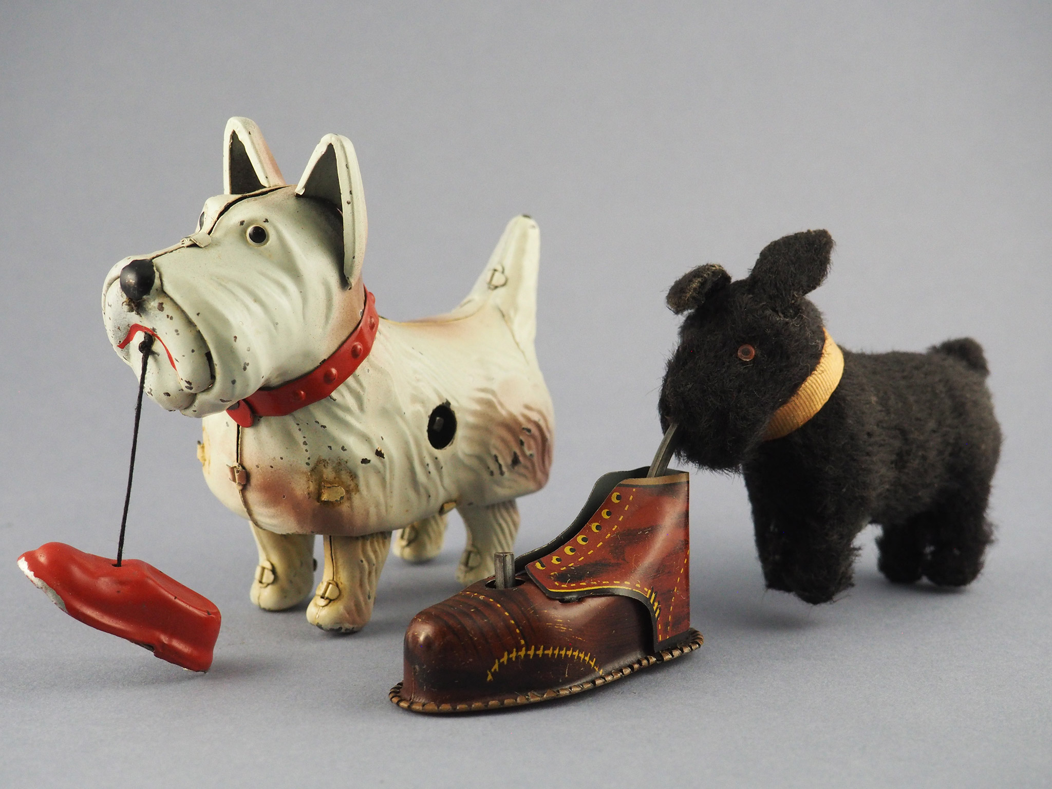 WAG DOG photo 3