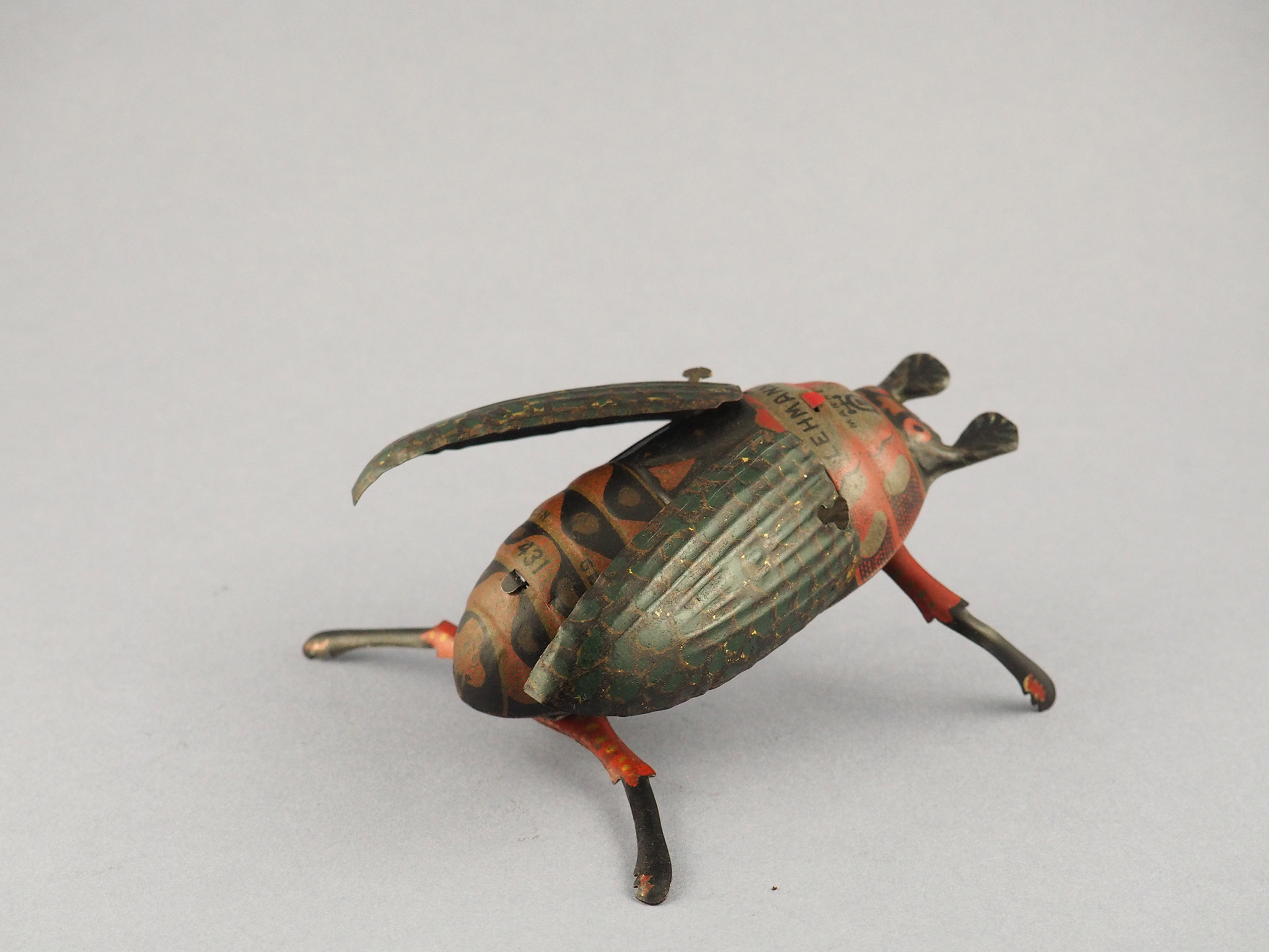 Crawling Beetle photo 1