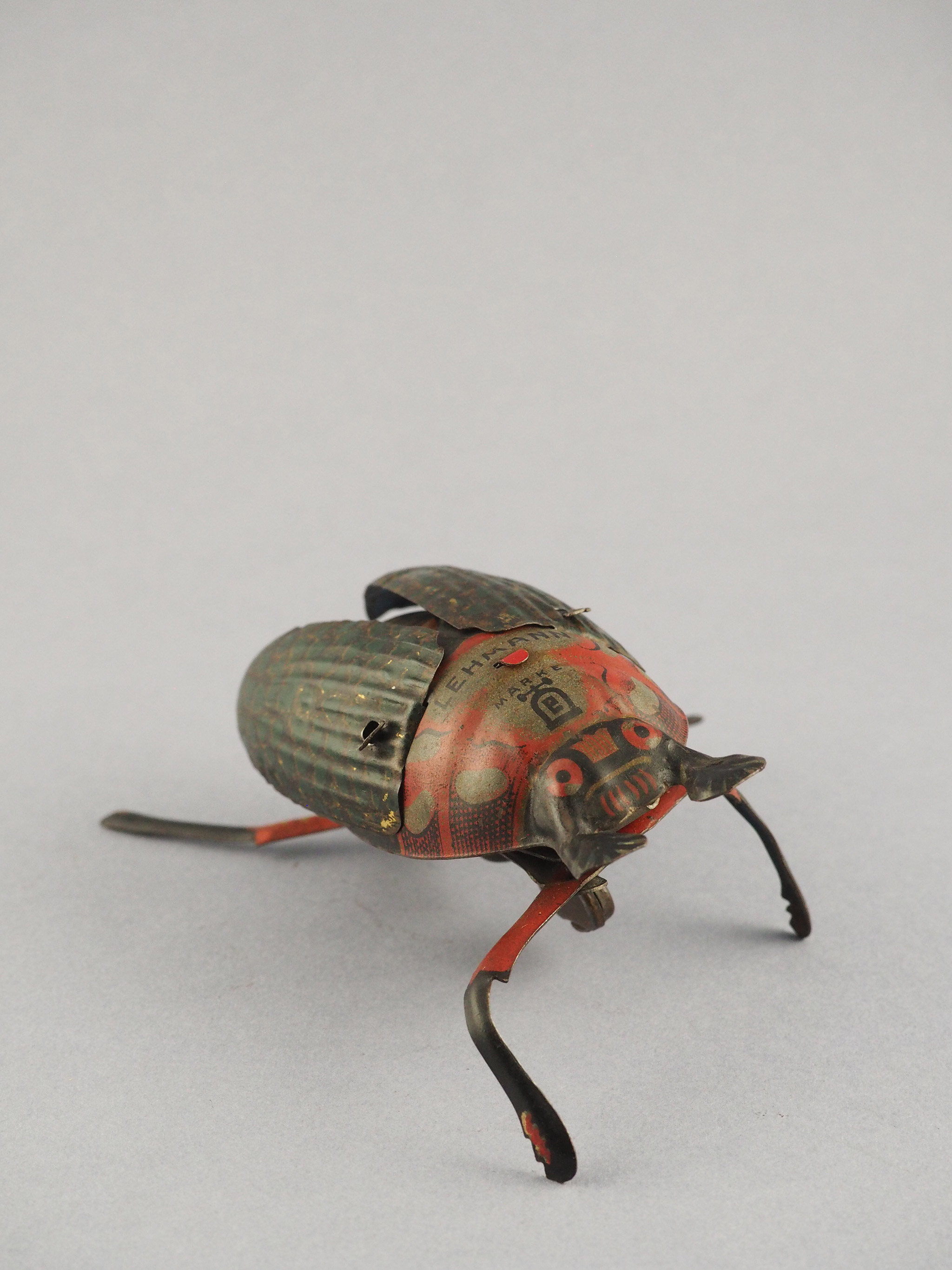 Crawling Beetle photo 2