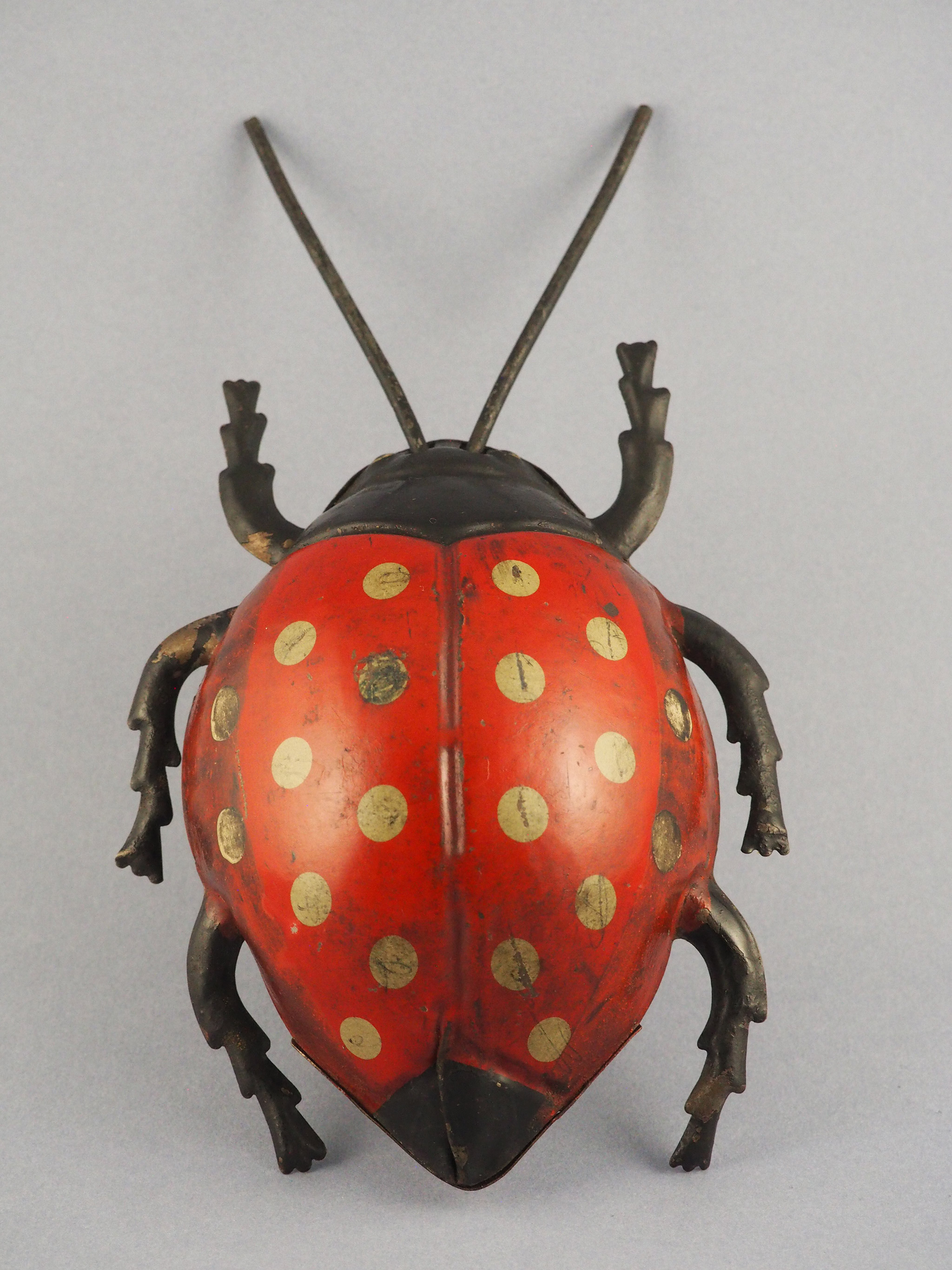 Lady Bug photo 1