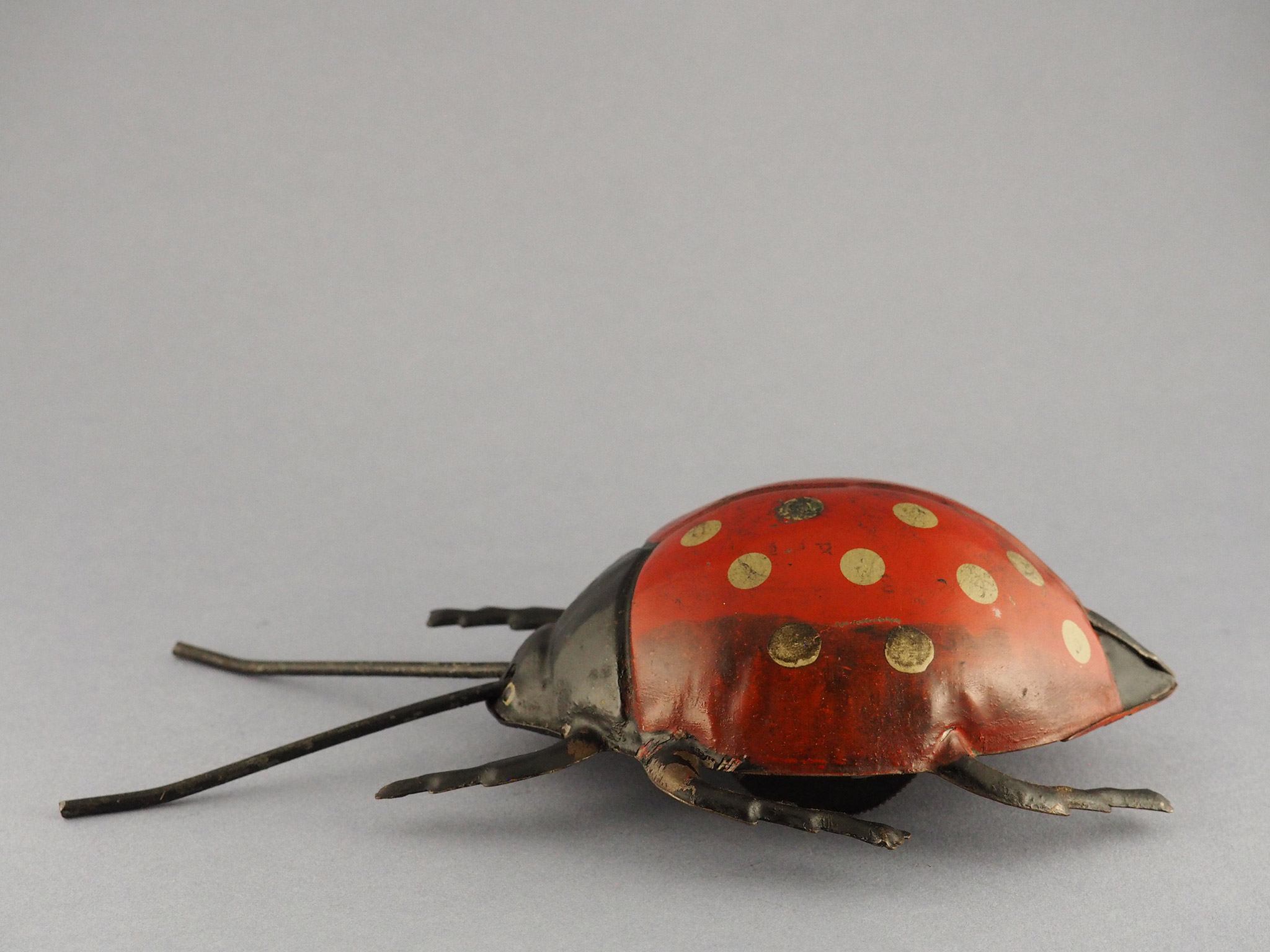 Lady Bug photo 2
