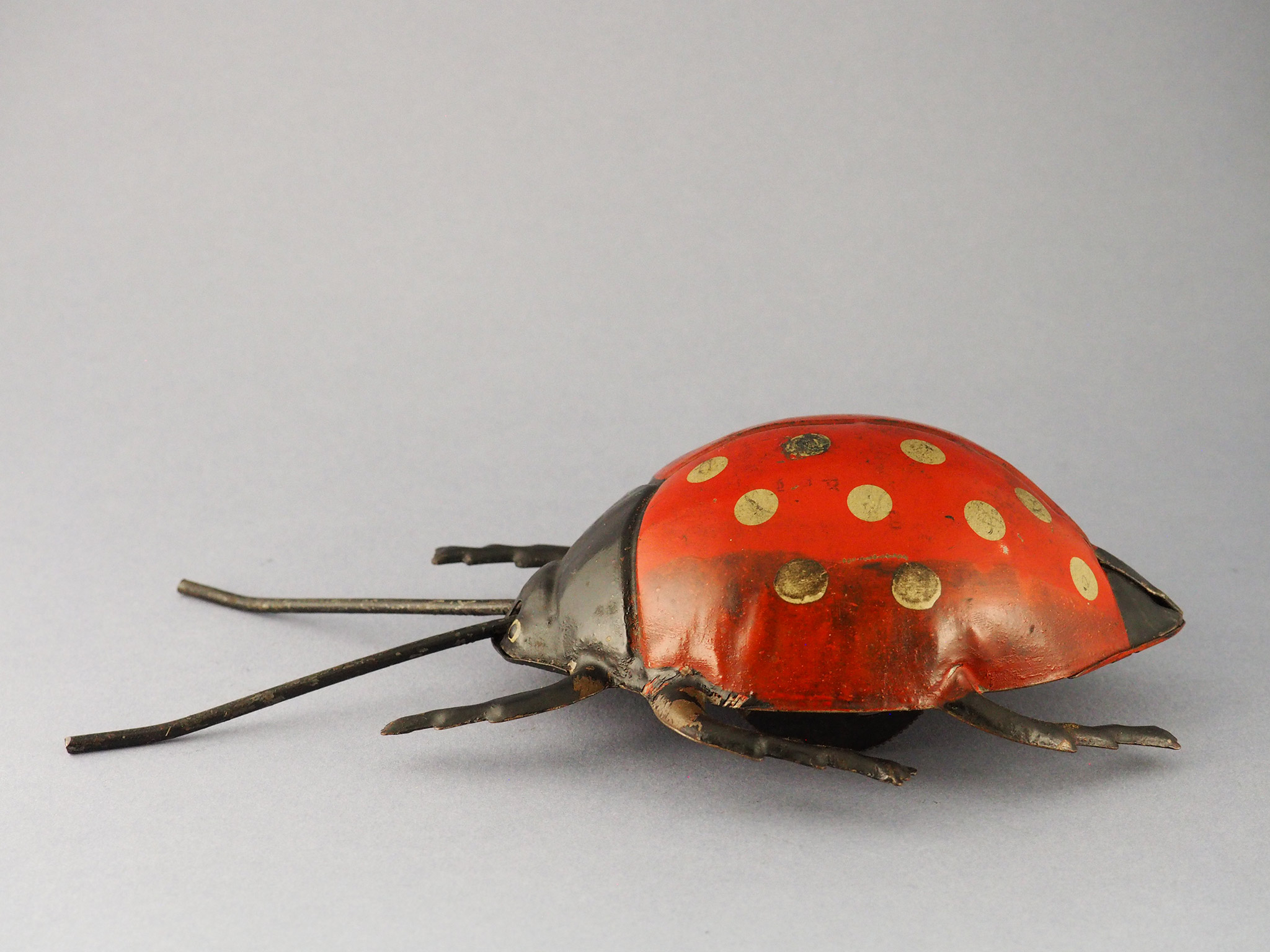 Lady Bug photo 3