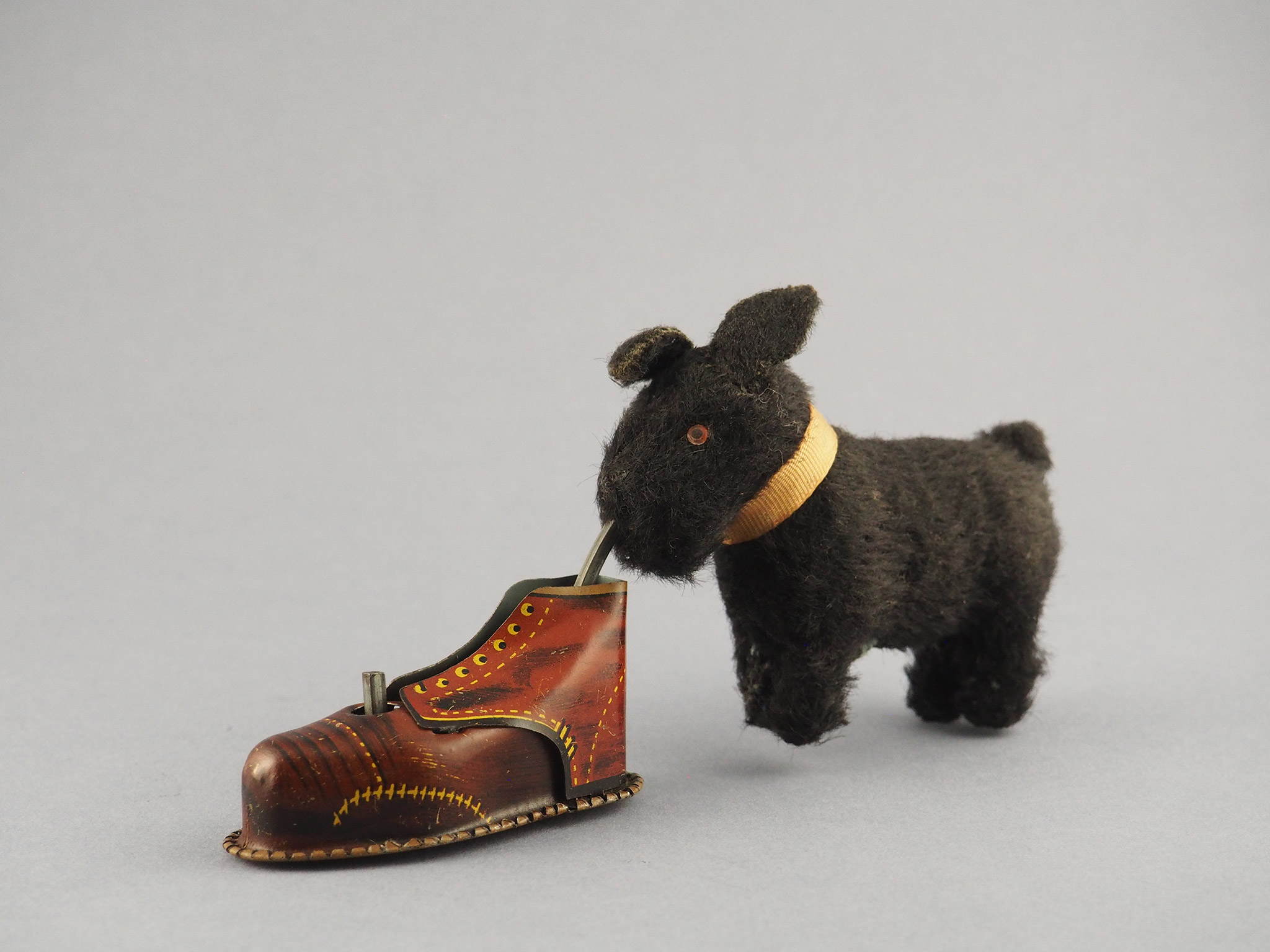 Dog with Shoe photo 1