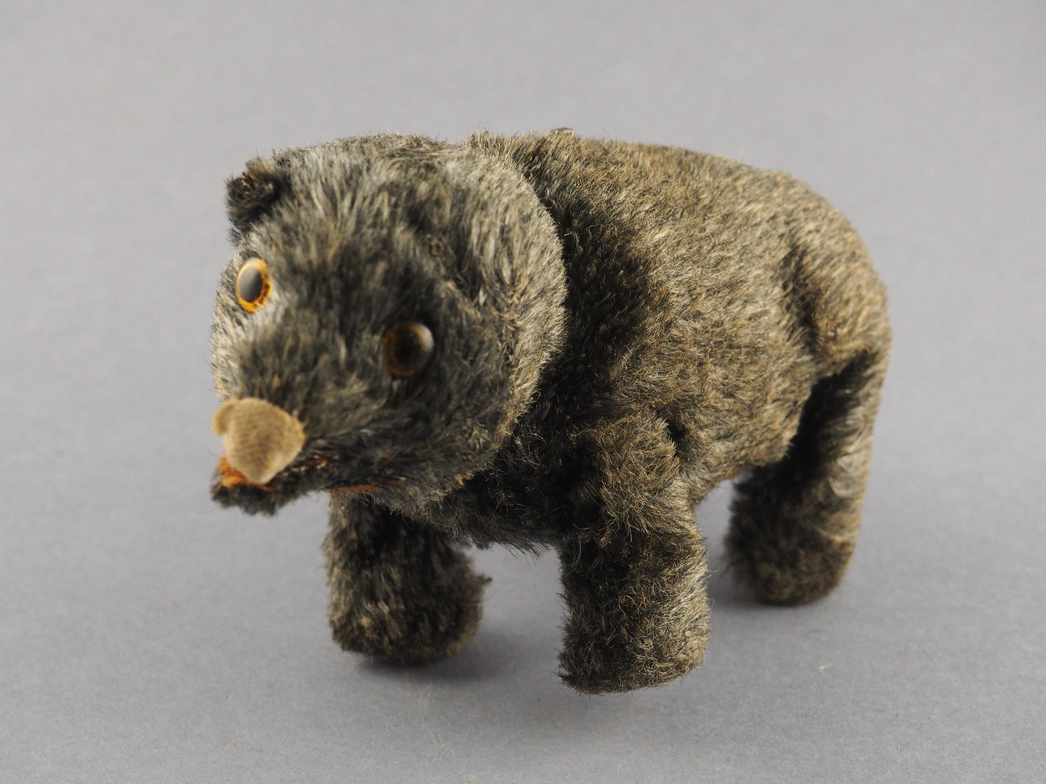 Walking Bear photo 1