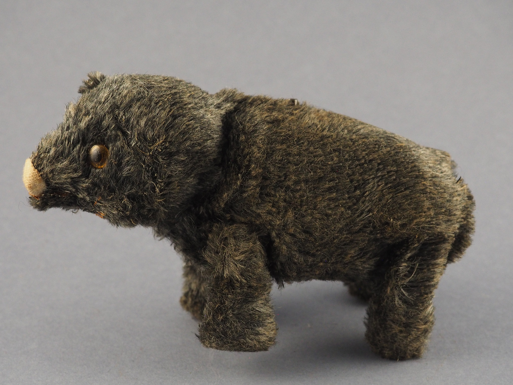 Walking Bear photo 3