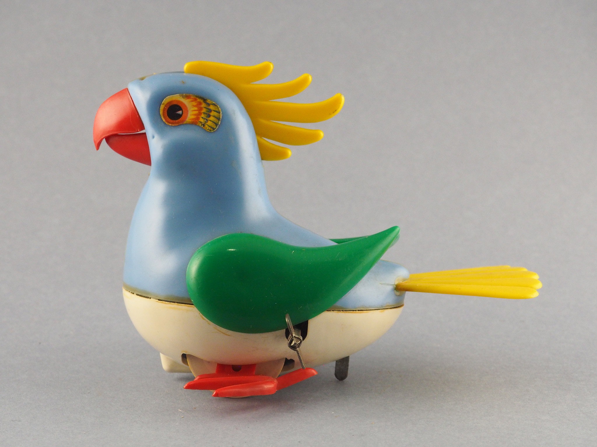Parrot photo 1
