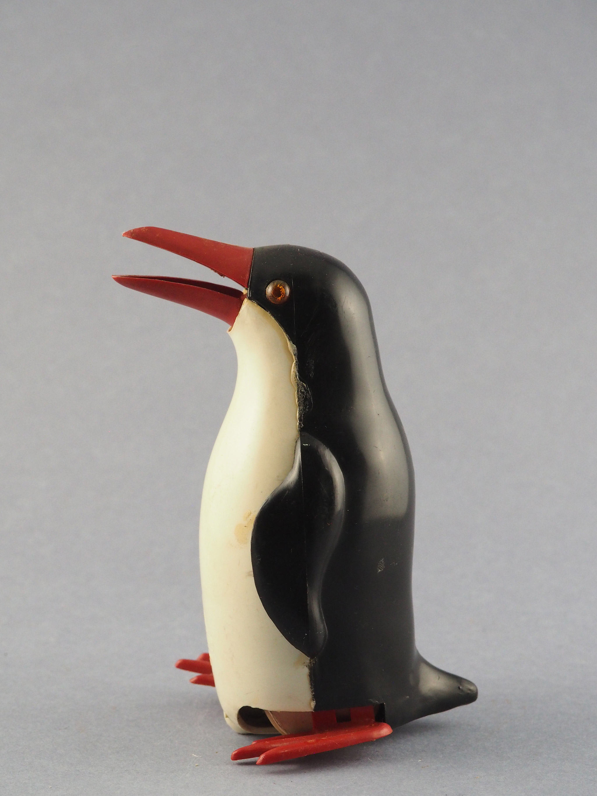 Penguin photo 1