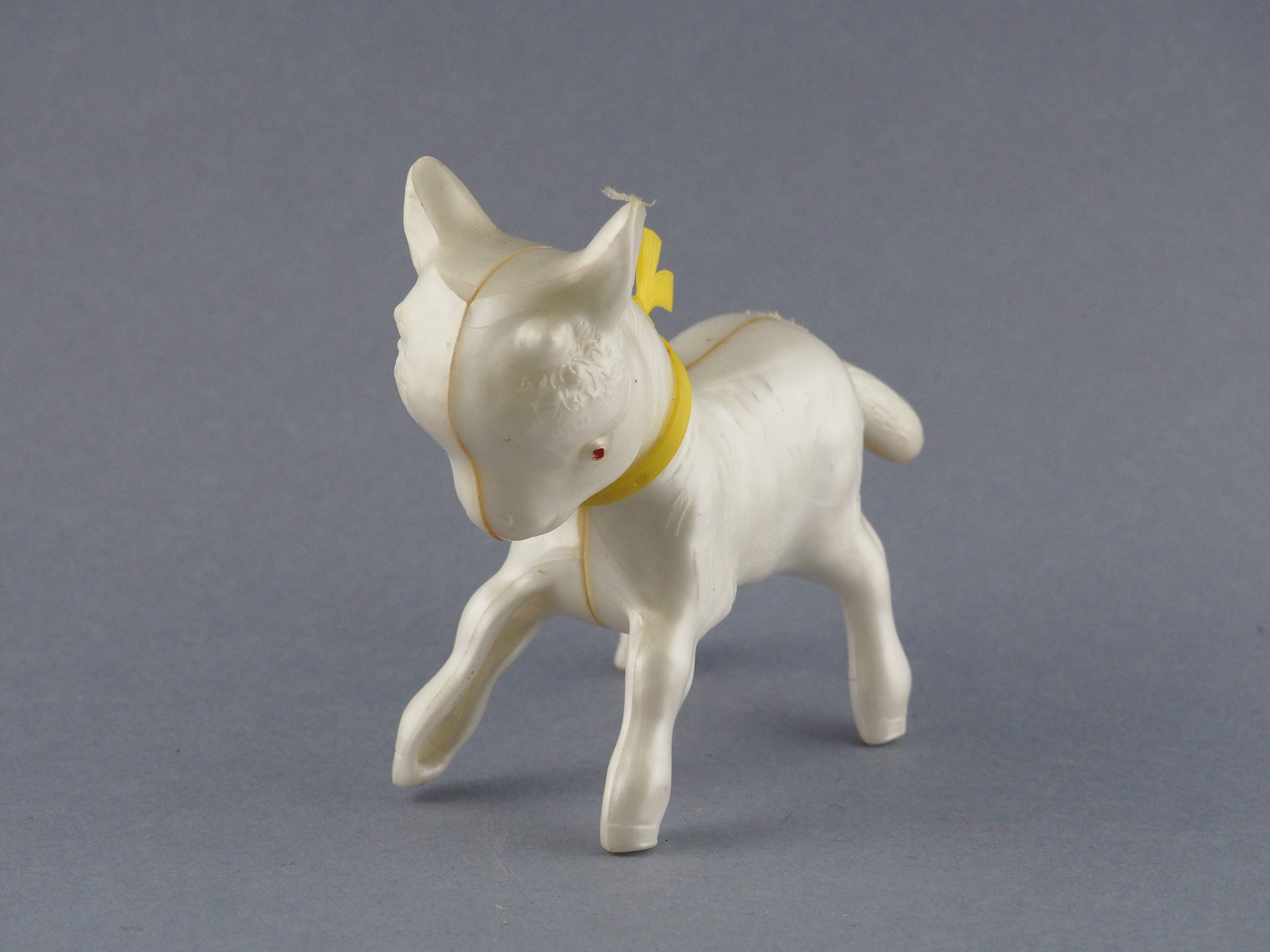 Lamb photo 1