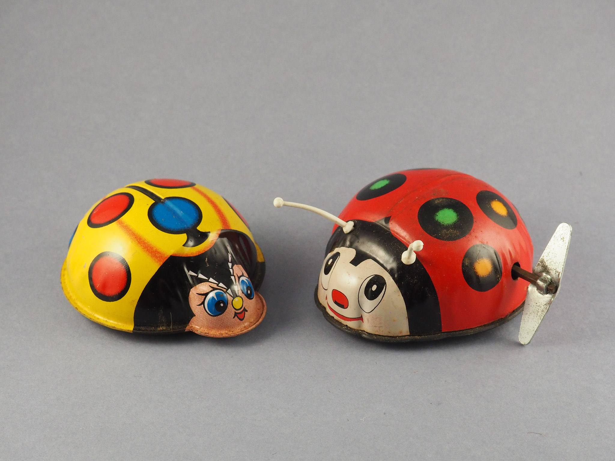 Ladybug photo 1