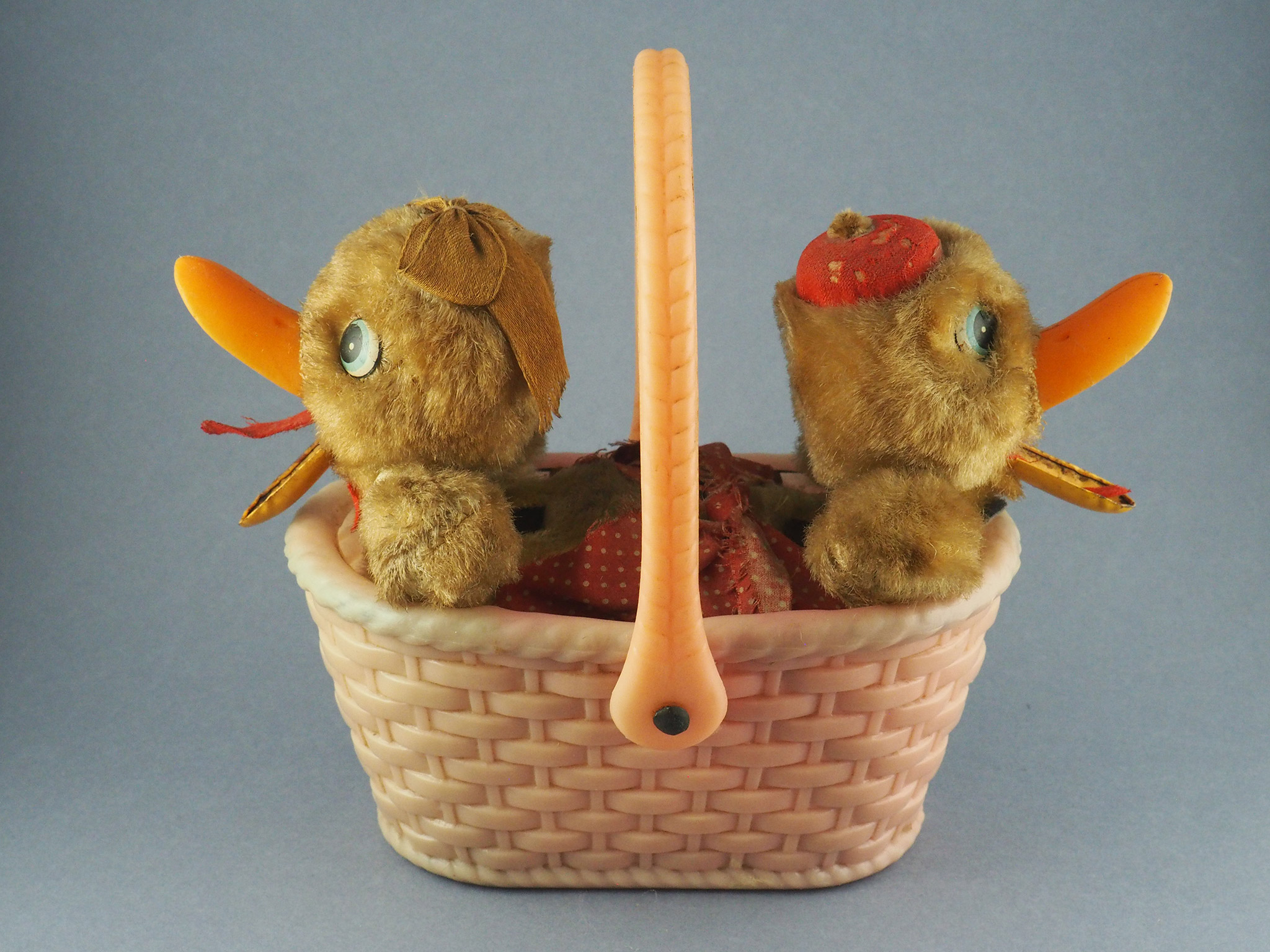 Quacking Baby Ducks photo 3