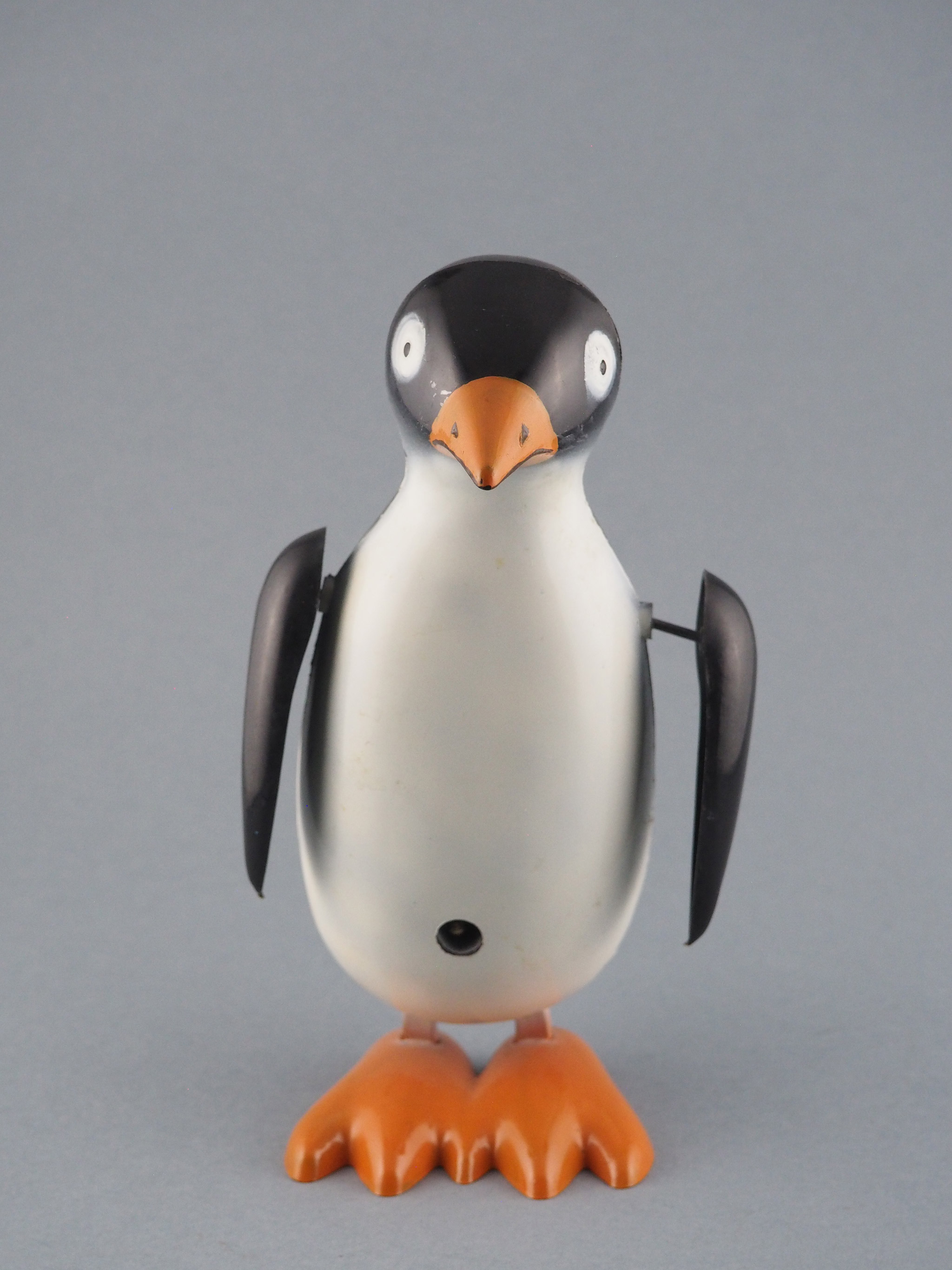 O Pinguim Bonito photo 1