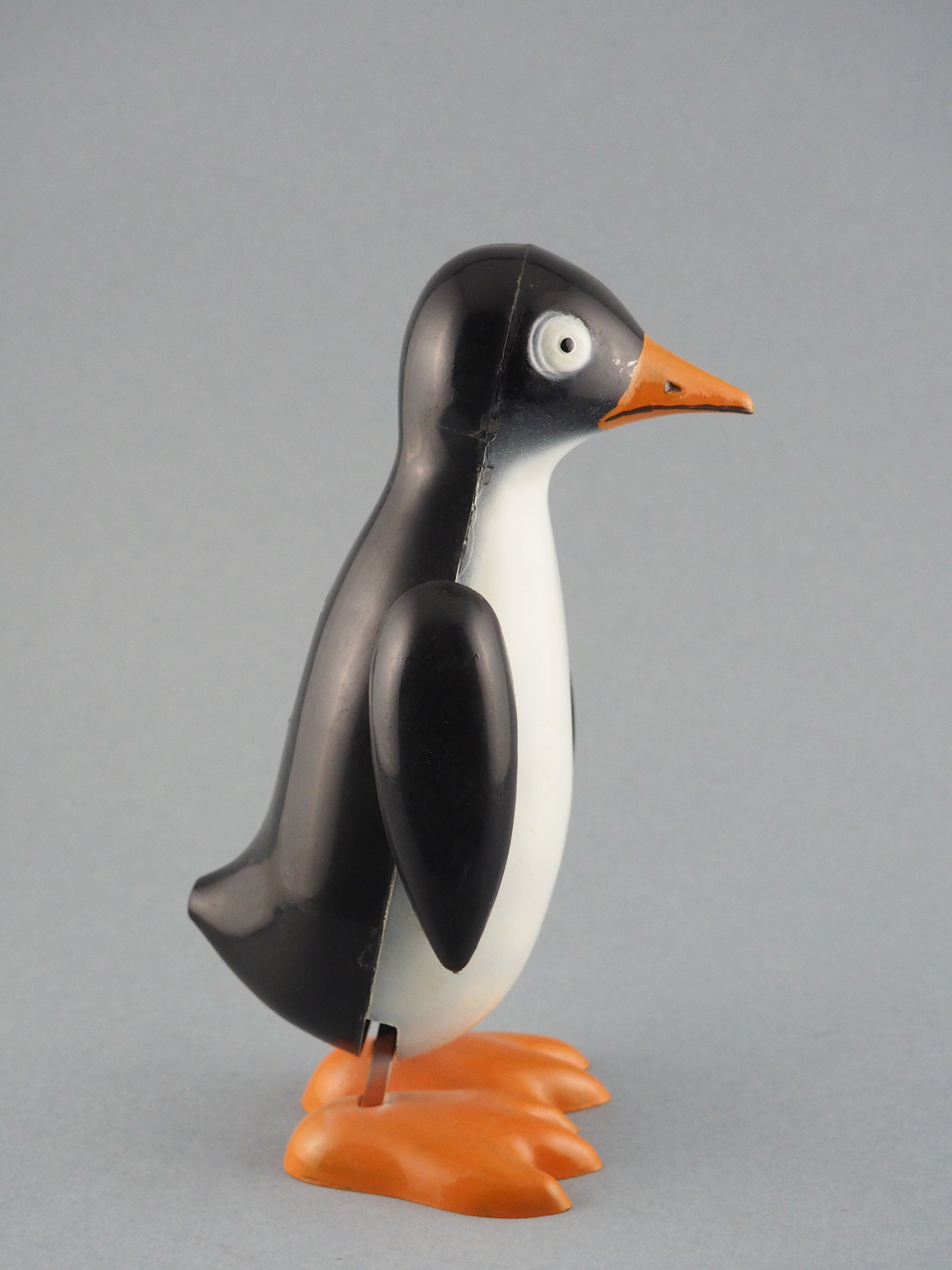 O Pinguim Bonito photo 2