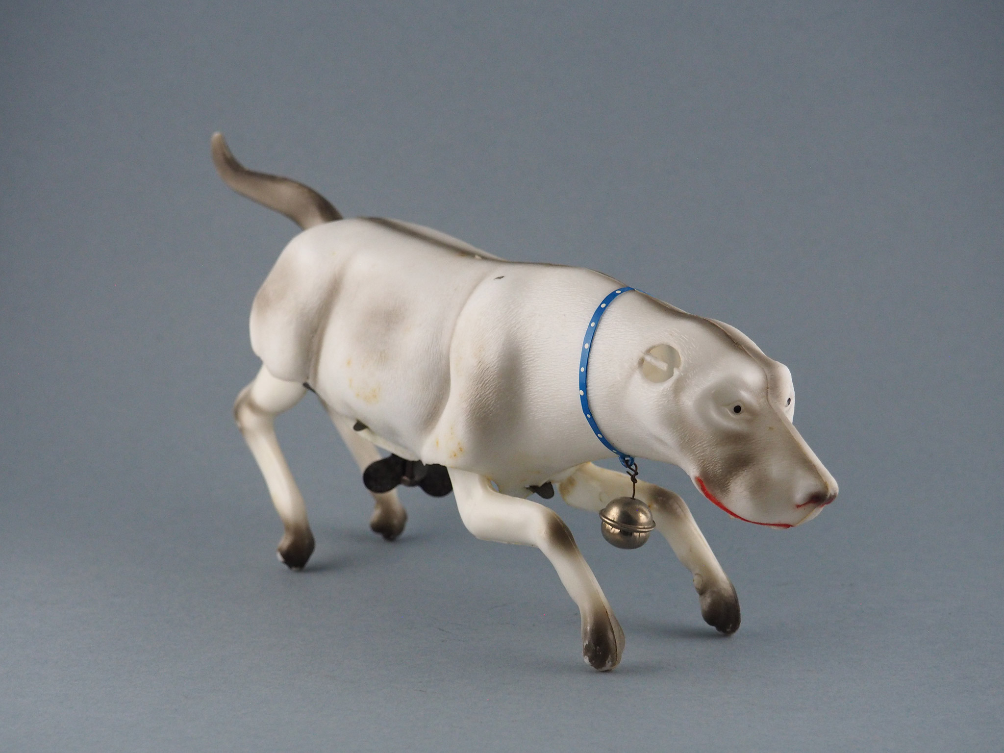 O Galgo Veloz photo 2